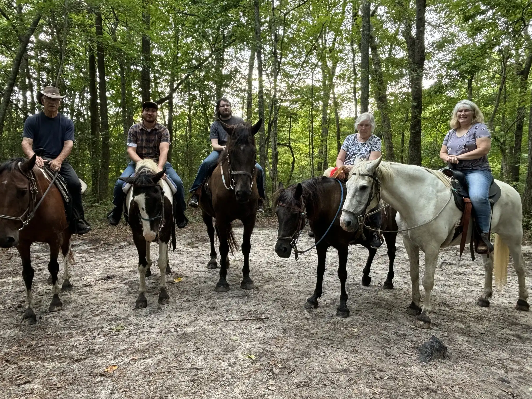 Five riders line up on brown, piebald, and white horses on a sandy path in a green forest.