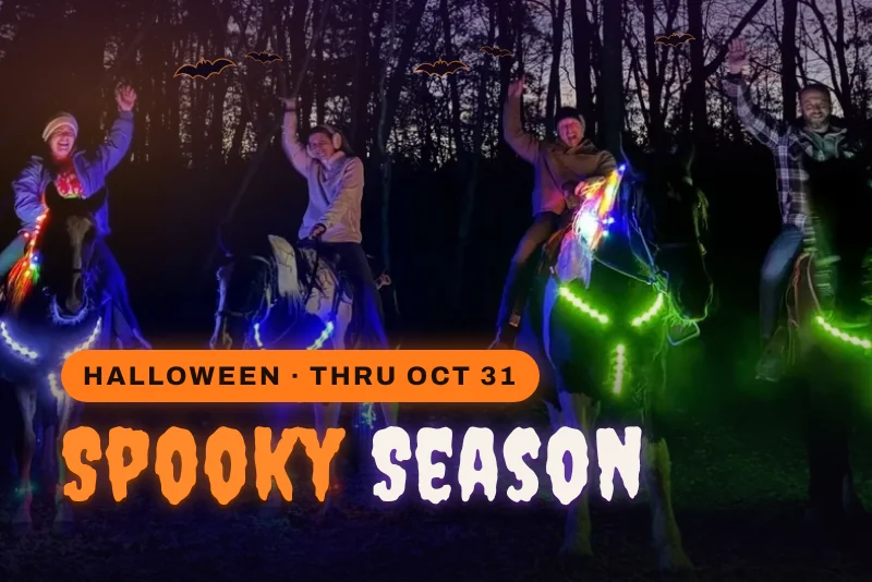 Ride after dark this Halloween. Saddle up for a 1-hour guided ride through our pastures and moonlit woods on horses lit up in color, ending at our Western Frontier Town glowing after dark. Beginner-safe, family-friendly, and no riding experience needed. Each ride is capped at 8 riders, so October nights go fast.