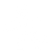 Difference Icon