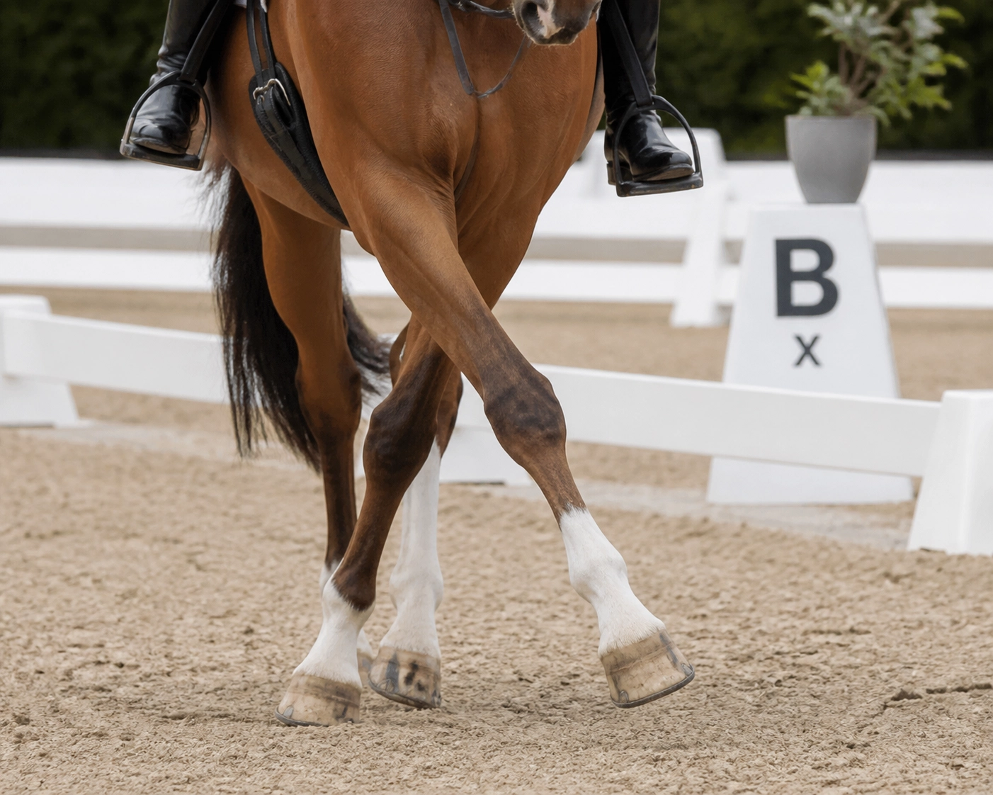 Detailed view of a dressage horse performing a supple leg-yield to improve rhythm and balance.