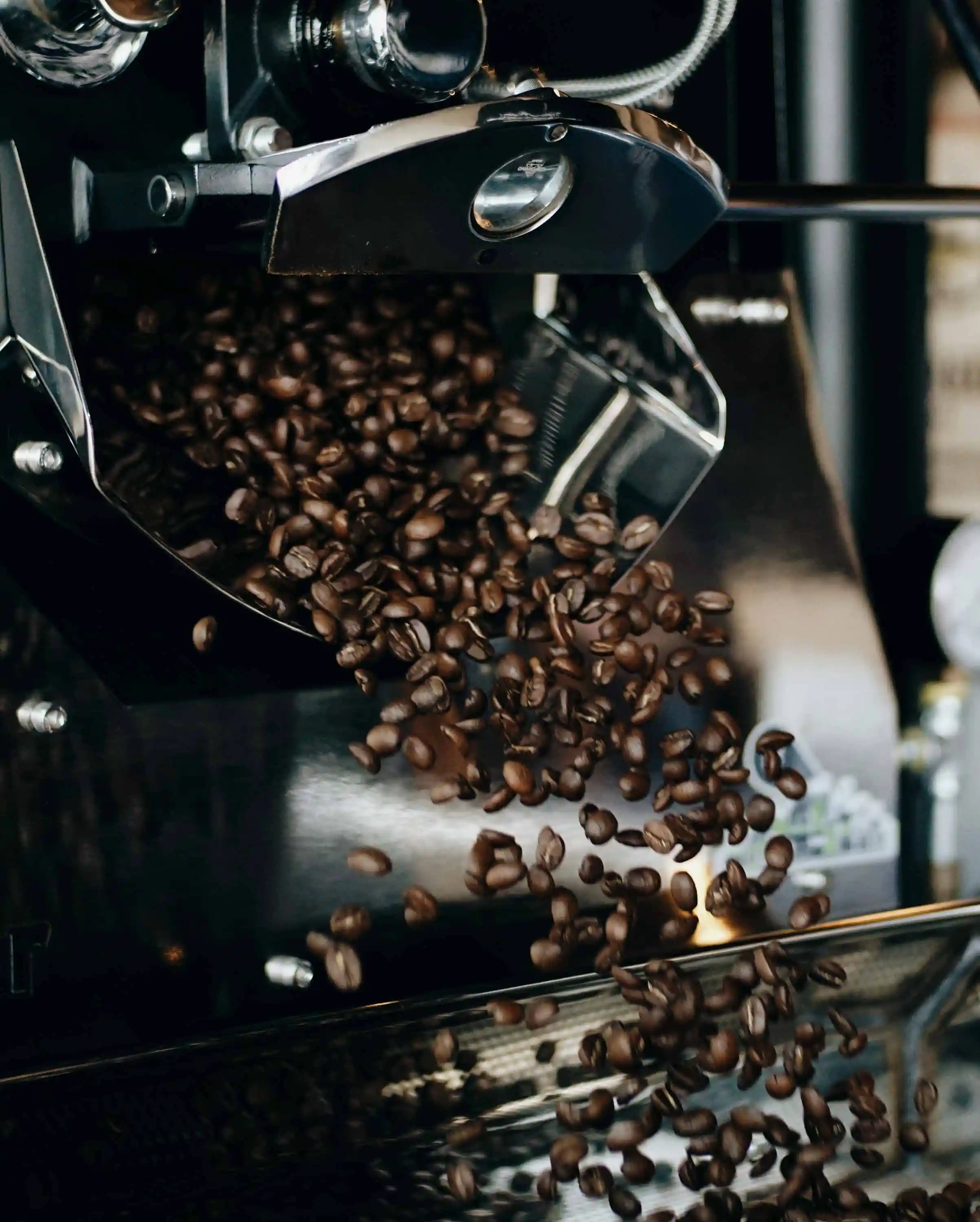 Roasted coffee beans pouring out of a black metal coffee roasting machine.