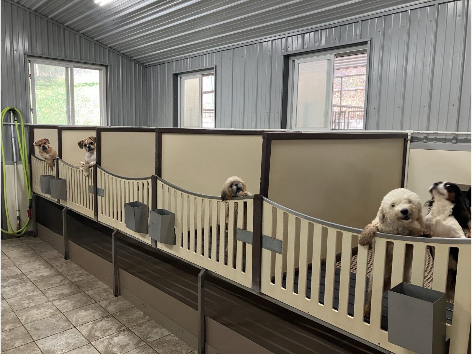 Kennel photograph taken at the Ohio inspection of David D Yoder – Sugarcreek, OH on October 11, 2024, page 3 of the inspection report