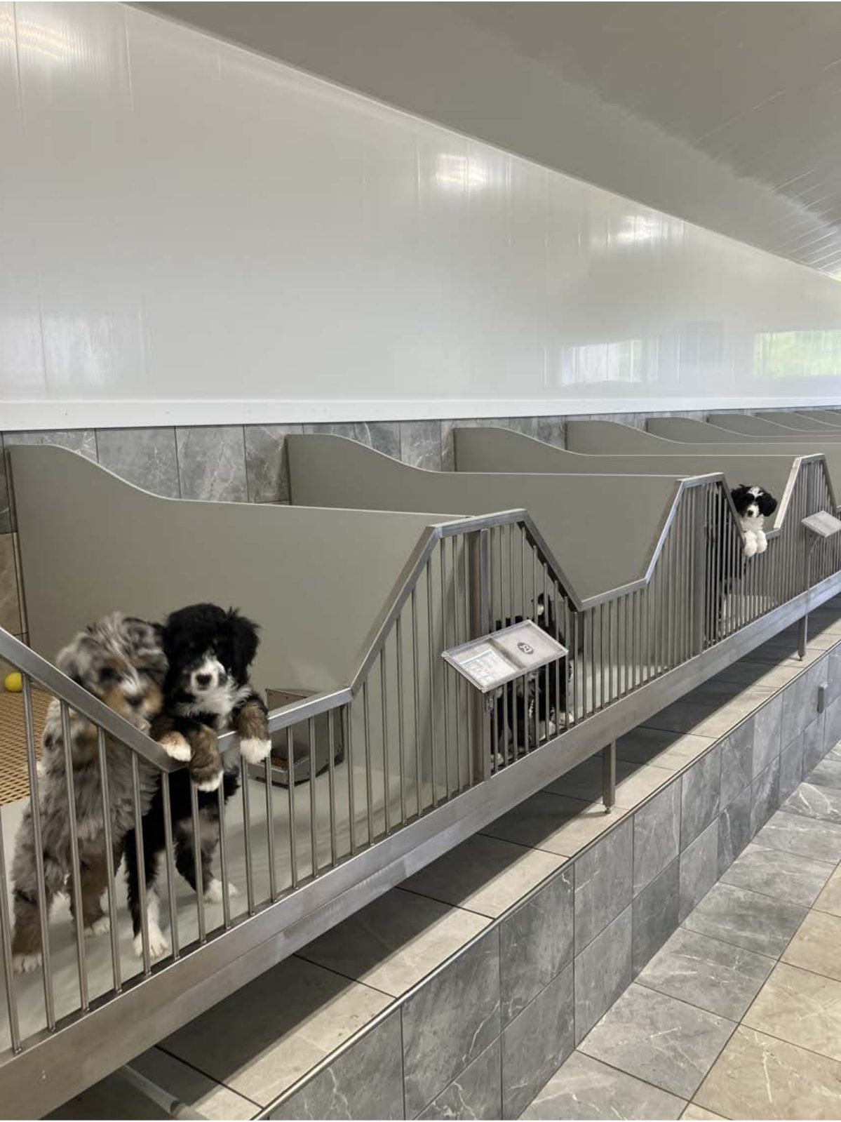 Kennel photograph taken at the Ohio inspection of Jacob J Miller – Apple Creek, OH on June 26, 2025, page 3 of the inspection report