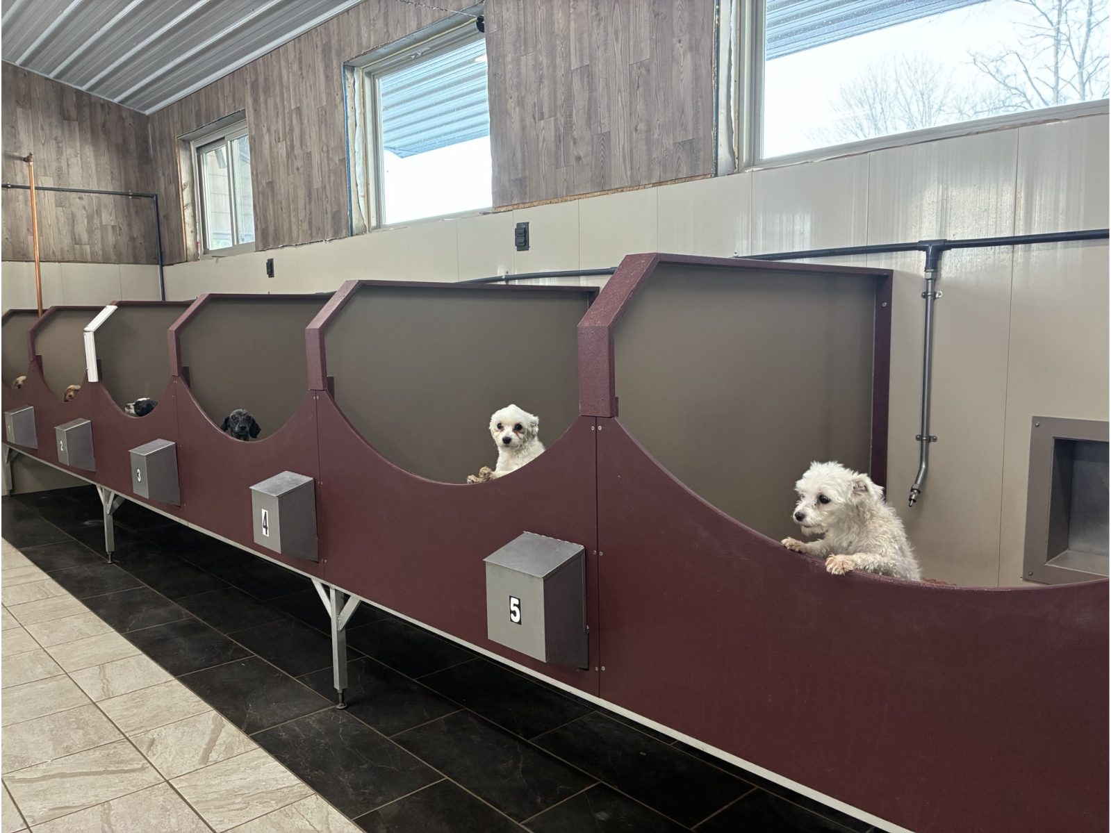 Kennel photograph taken at the Ohio inspection of Matthew A Miller – Coshocton, OH on February 10, 2026, page 2 of the inspection report