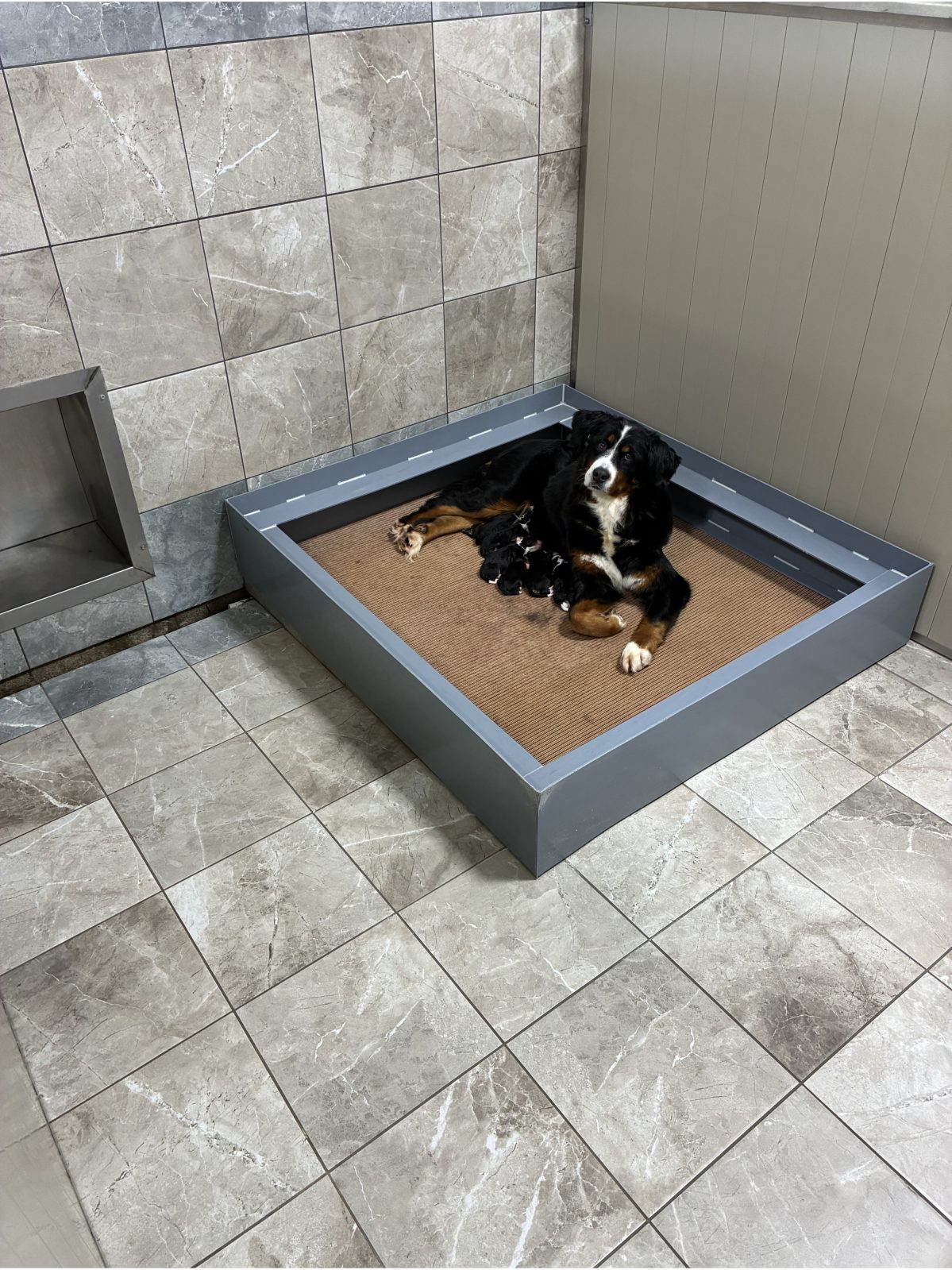 Kennel photograph taken at the Ohio inspection of Jacob J Miller – Apple Creek, OH on April 22, 2026, page 3 of the inspection report