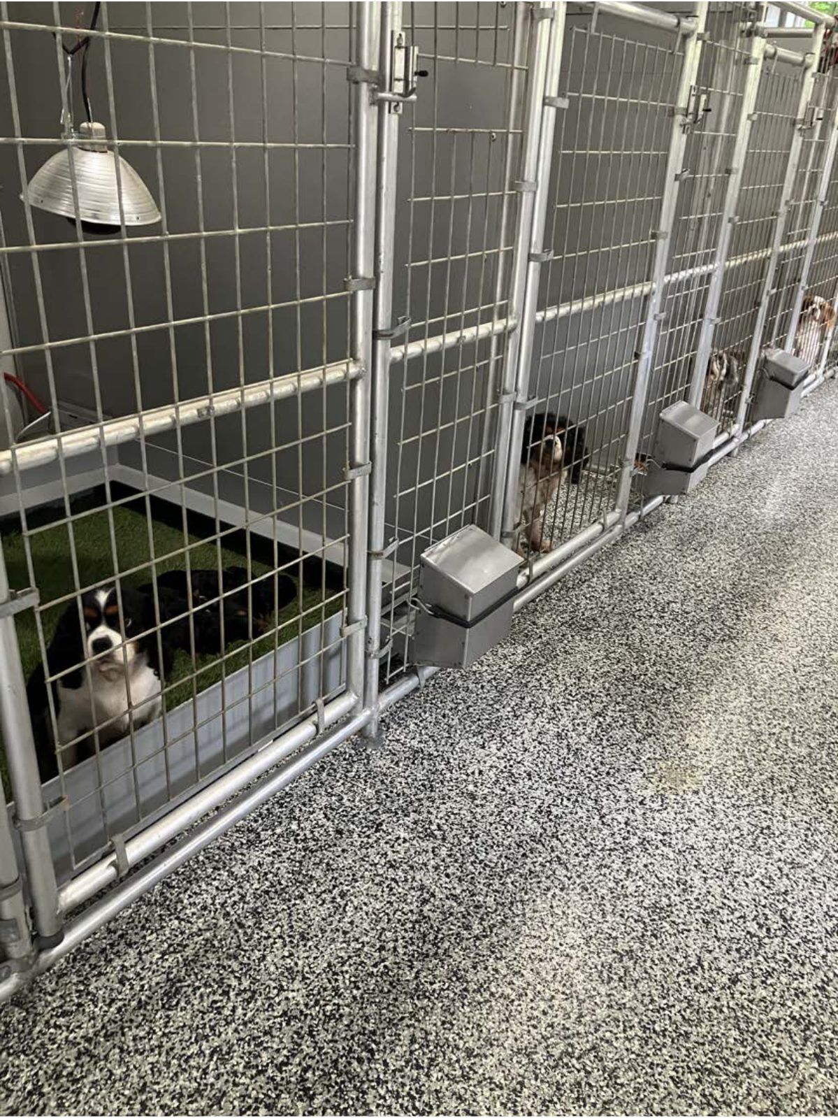 Kennel photograph taken at the Ohio inspection of Daniel E Troyer – Red Shed Puppies on July 31, 2025, page 2 of the inspection report