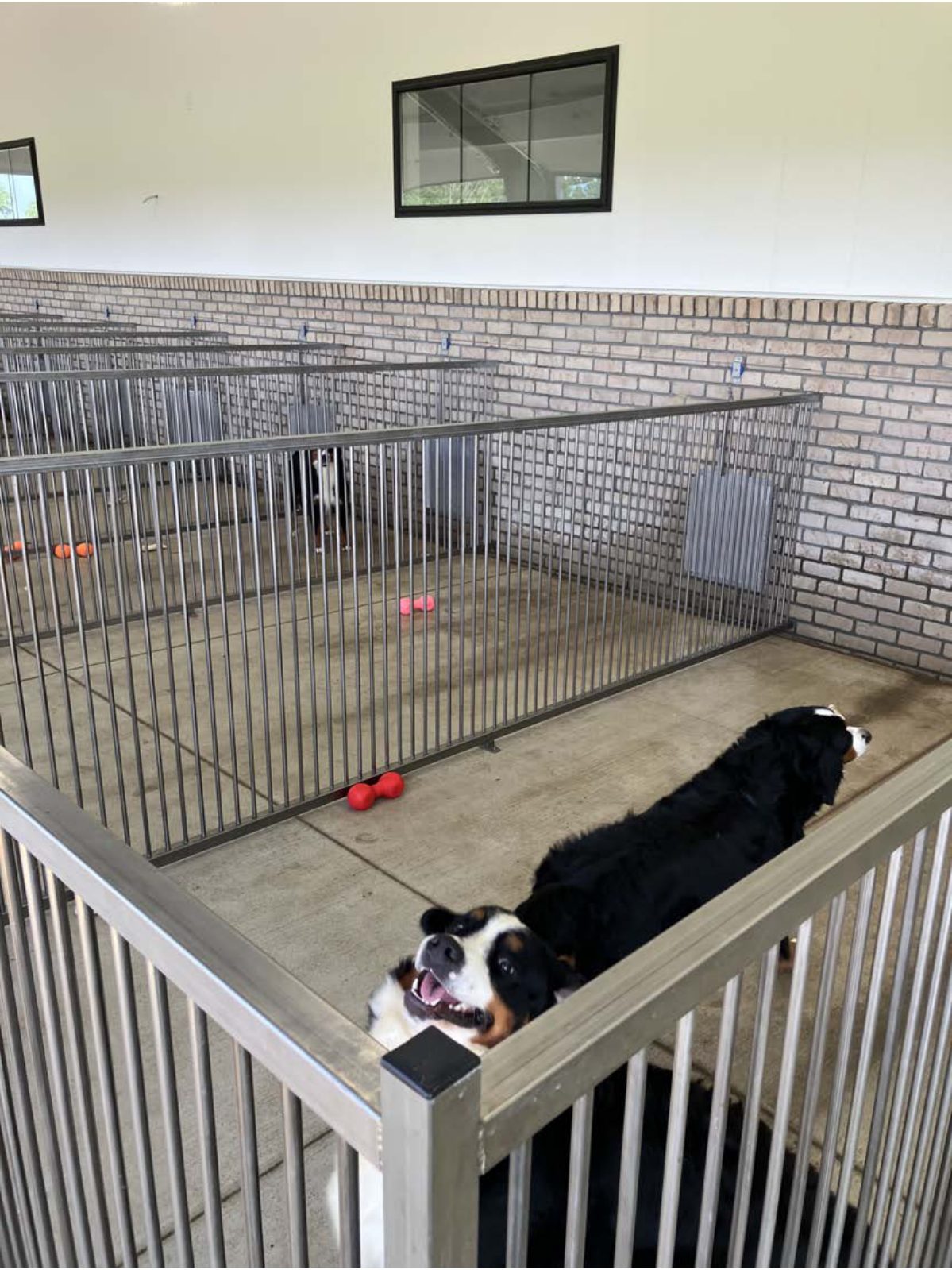 Kennel photograph taken at the Ohio inspection of Jacob J Miller – Apple Creek, OH on June 26, 2025, page 2 of the inspection report