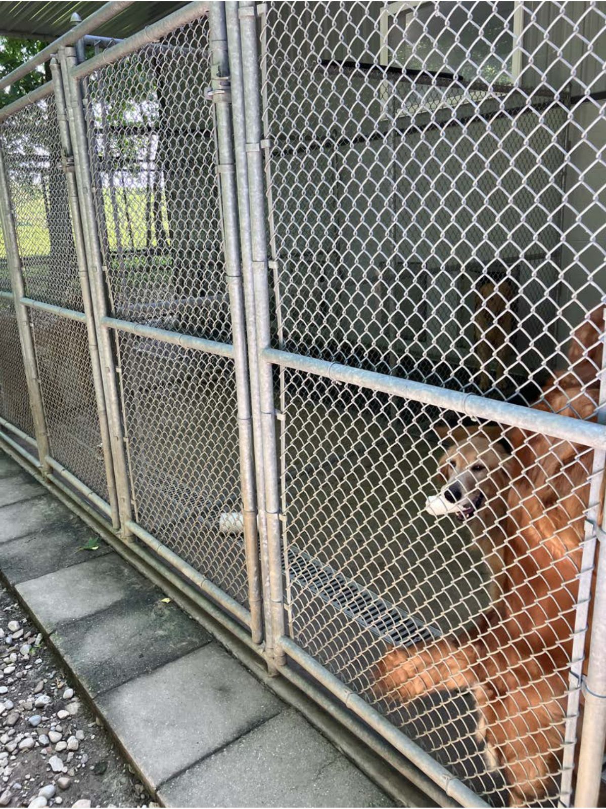 Kennel photograph taken at the Ohio inspection of Leon A Yoder – Fredericksburg, OH on June 26, 2025, page 3 of the inspection report
