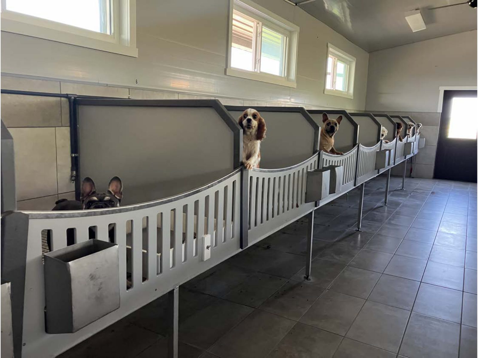 Kennel photograph taken at the Ohio inspection of Wayne A Miller – Oasis Puppies on June 24, 2025, page 3 of the inspection report