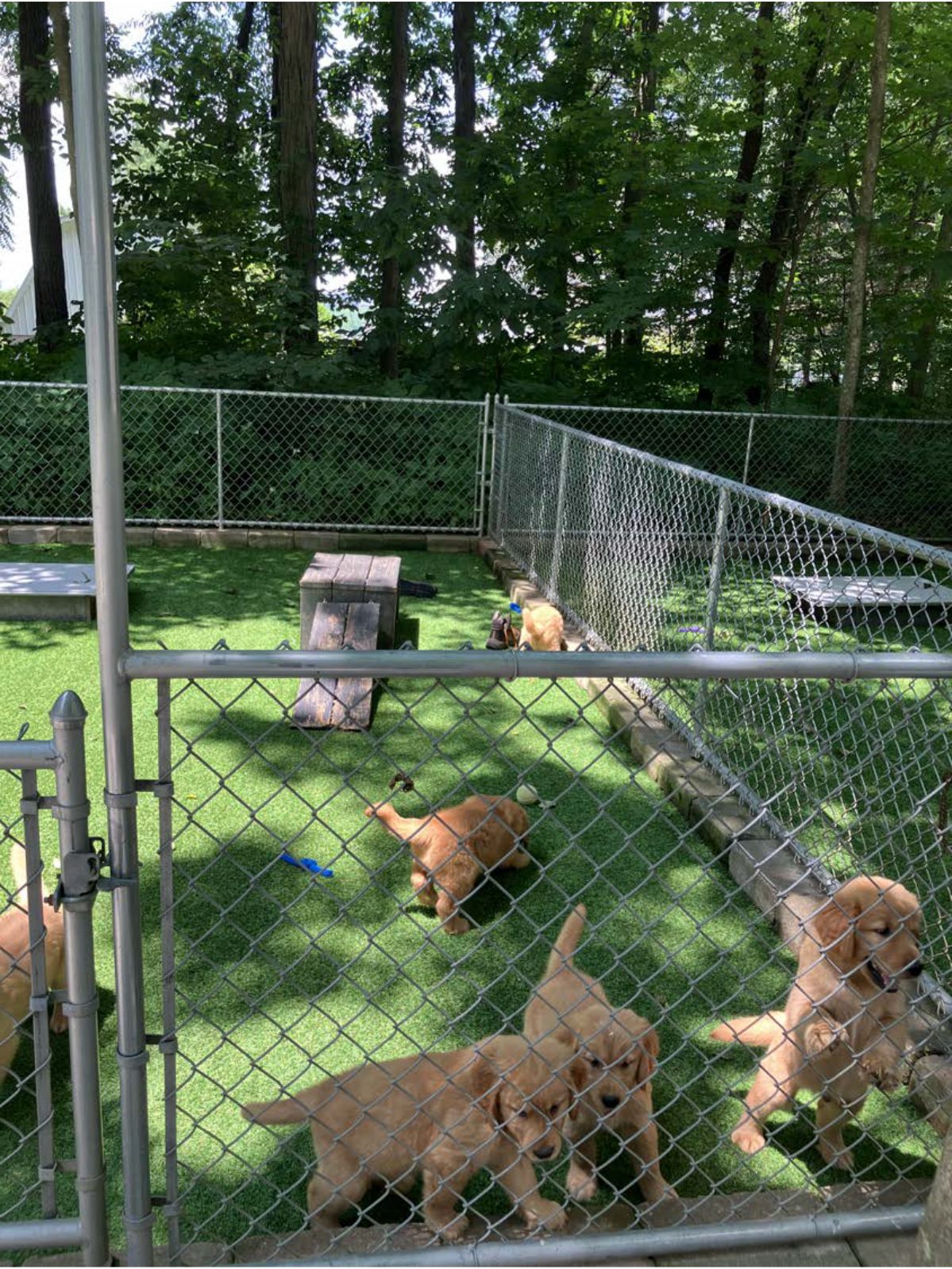 Kennel photograph taken at the Ohio inspection of Leon A Yoder – Fredericksburg, OH on June 26, 2025, page 2 of the inspection report