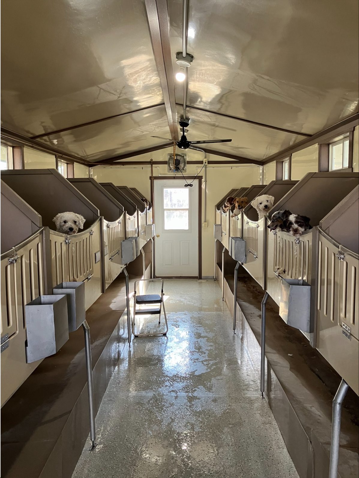 Kennel photograph taken at the Ohio inspection of Andy R Yoder – Baltic, OH on November 1, 2024, page 2 of the inspection report