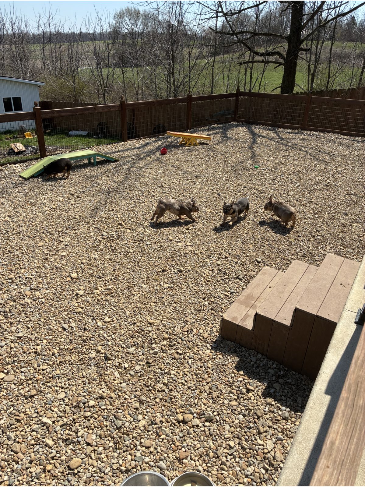 Kennel photograph taken at the Ohio inspection of Amos J Yoder – Fredericktown, OH on April 9, 2026, page 3 of the inspection report