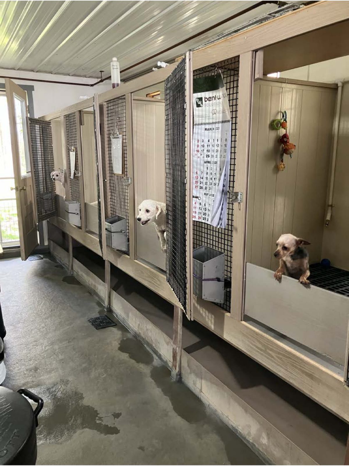 Kennel photograph taken at the Ohio inspection of Leon I Miller – Millersburg, OH on April 28, 2025, page 3 of the inspection report