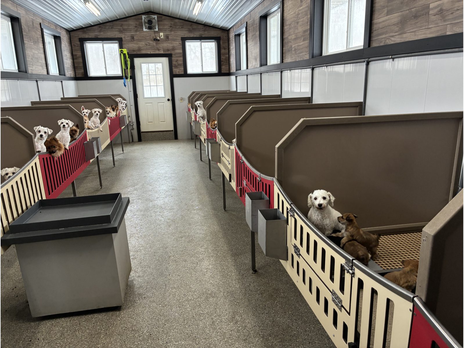 Kennel photograph taken at the Ohio inspection of Reuben A Yoder – Blue Gold Pups on January 29, 2026, page 2 of the inspection report