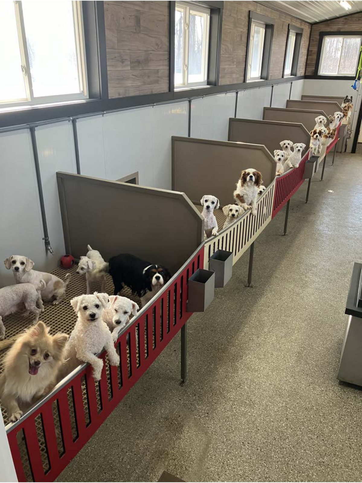 Kennel photograph taken at the Ohio inspection of Reuben A Yoder – Blue Gold Pups on March 14, 2025, page 3 of the inspection report