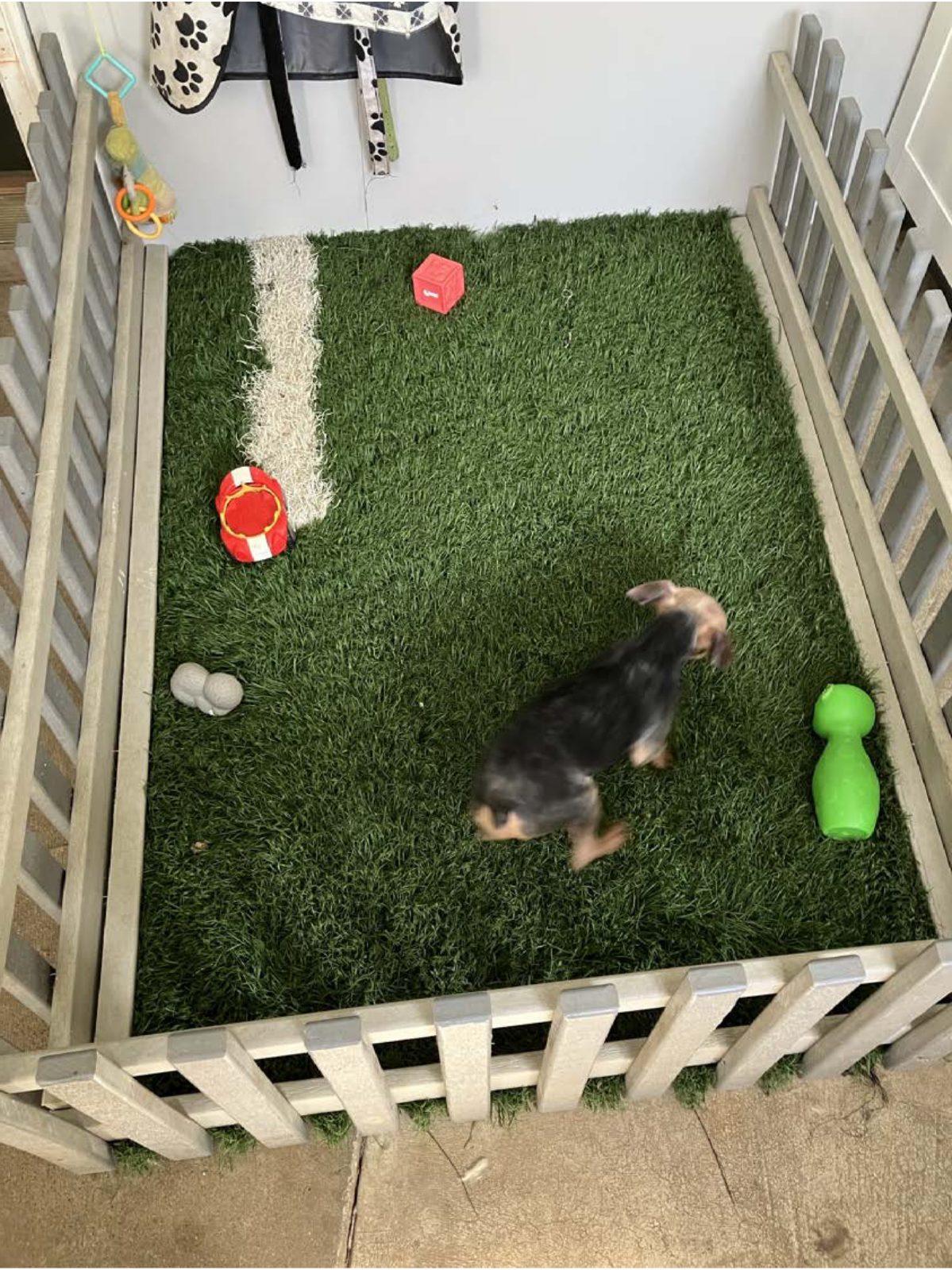 Kennel photograph taken at the Ohio inspection of Leon I Miller – Millersburg, OH on April 28, 2025, page 2 of the inspection report