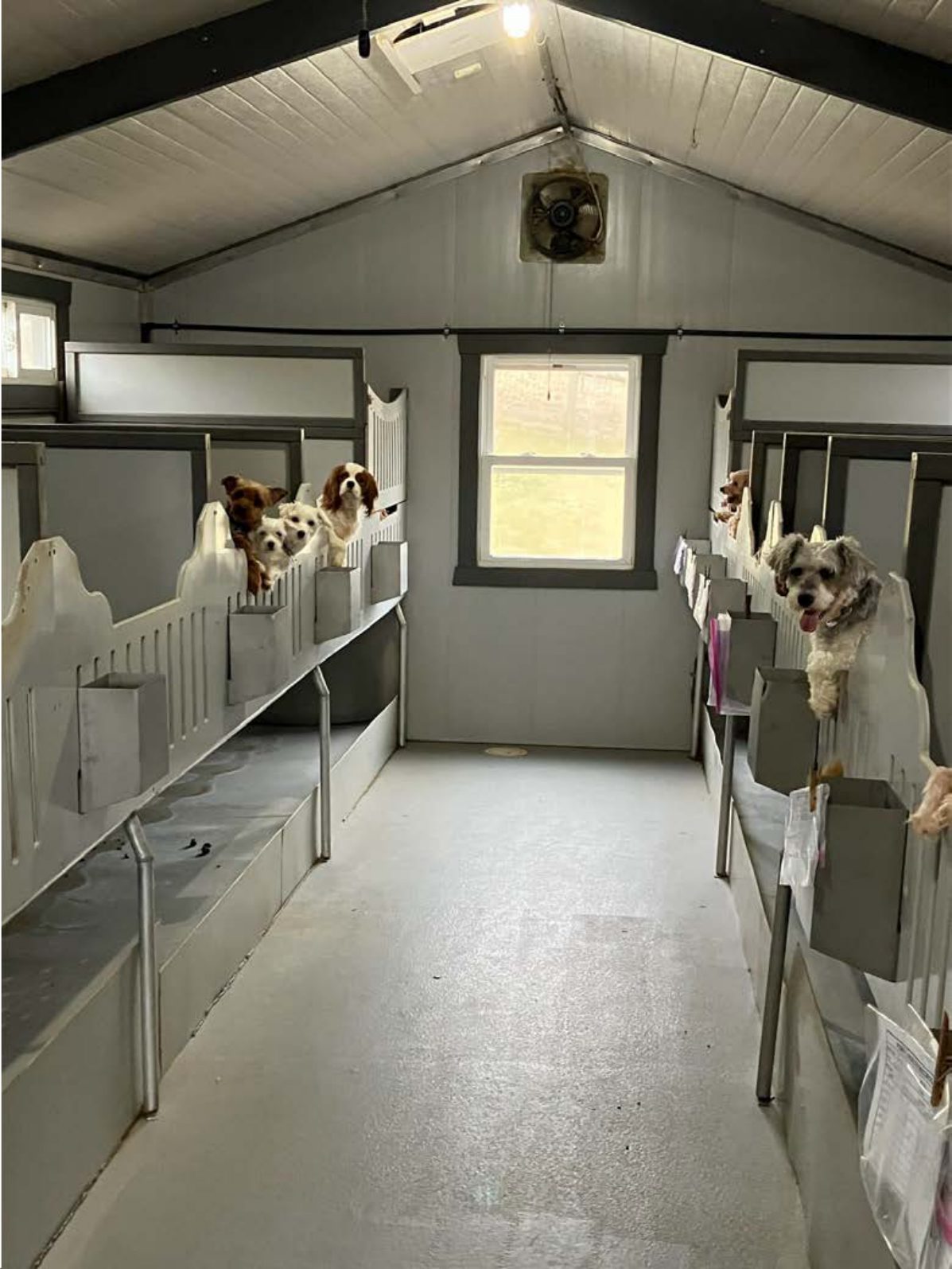 Kennel photograph taken at the Ohio inspection of Ammon J Yoder – Twin Creek Kennels on February 11, 2025, page 2 of the inspection report
