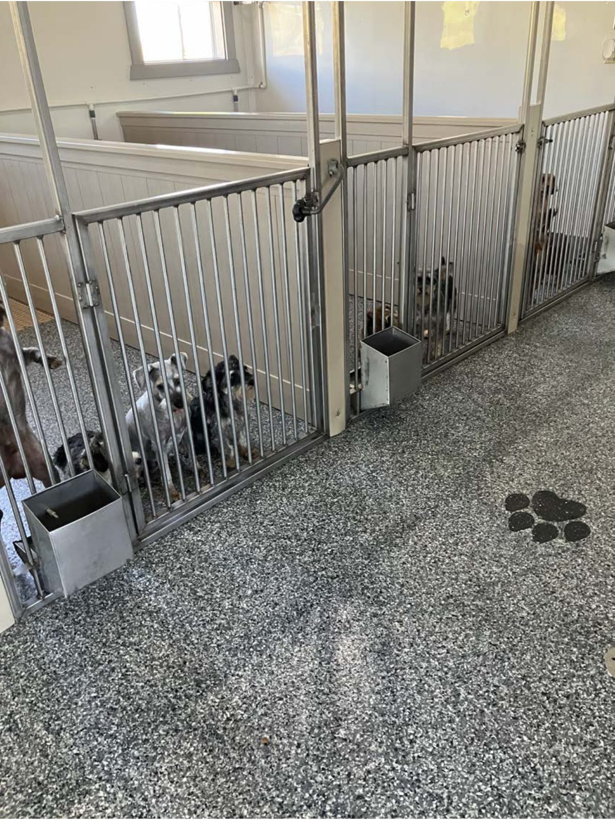 Kennel photograph taken at the Ohio inspection of Menno Yoder + Rosie Hershberger – Millersburg, OH on August 19, 2025, page 3 of the inspection report