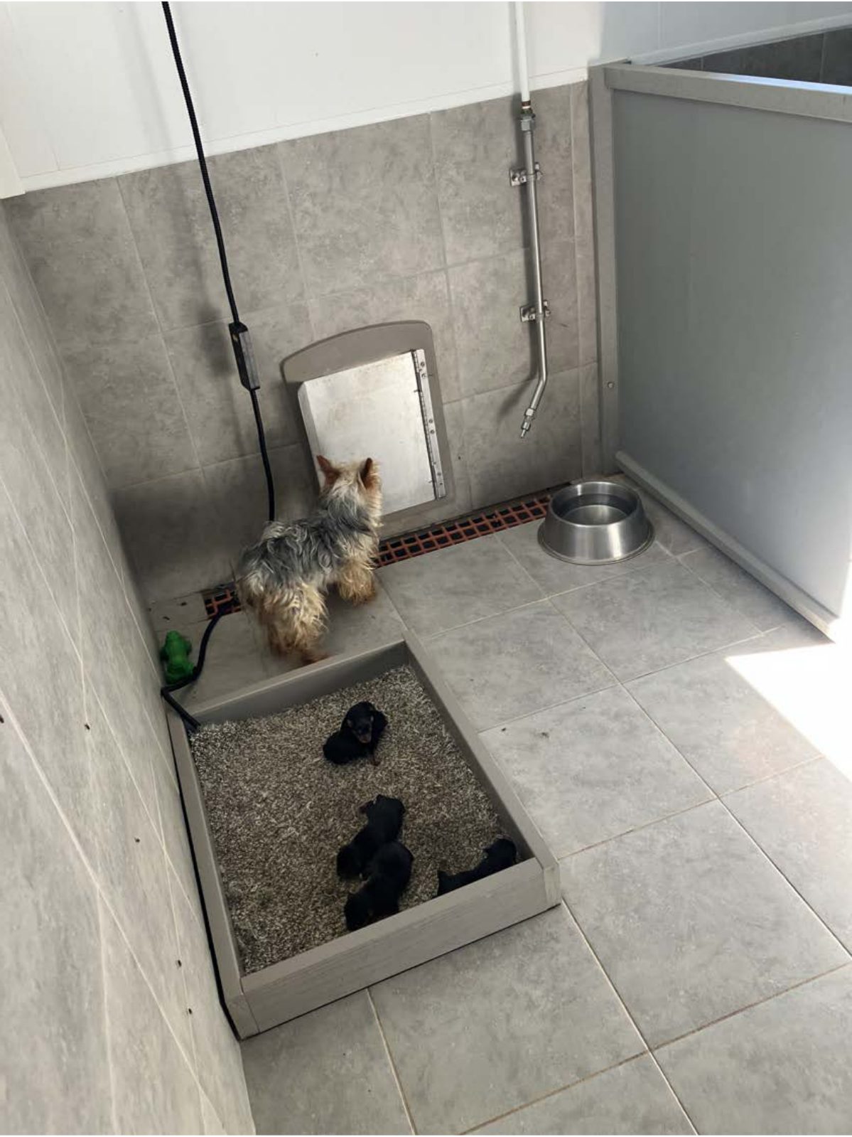 Kennel photograph taken at the Ohio inspection of Michael R Yoder – Fredericksburg, OH on July 22, 2025, page 2 of the inspection report