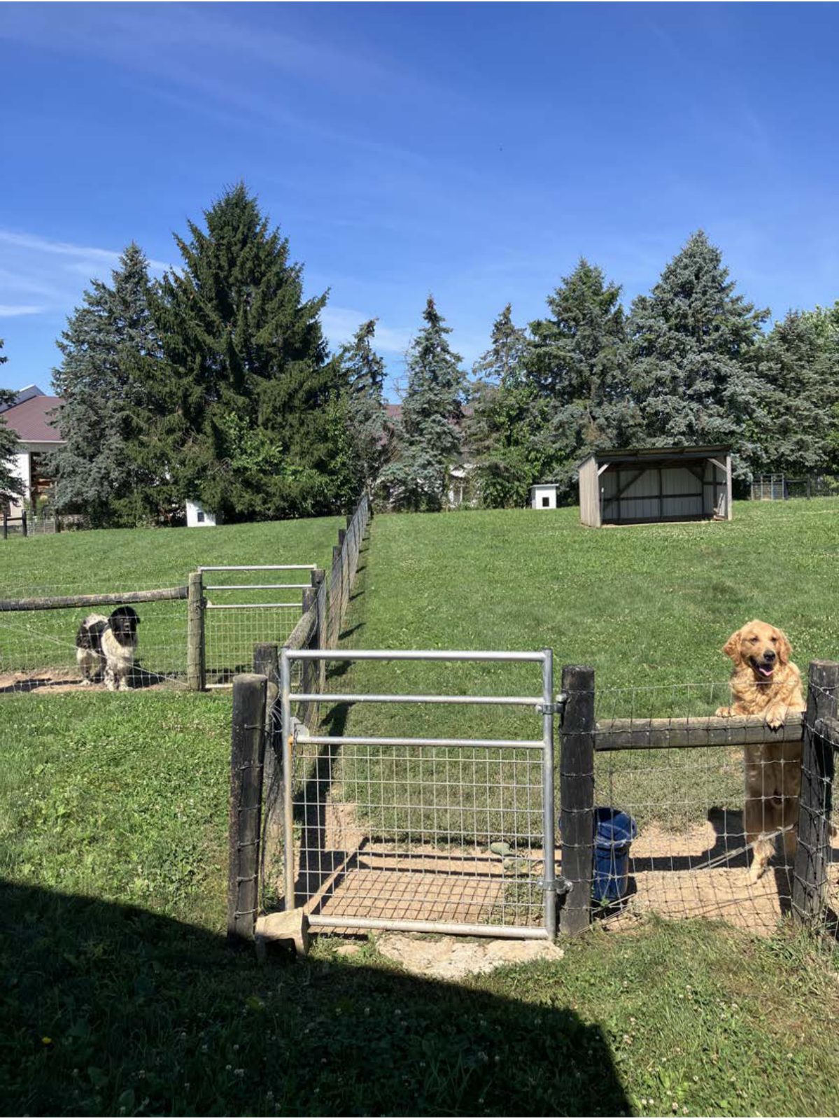 Kennel photograph taken at the Ohio inspection of Michael R Yoder – Fredericksburg, OH on July 22, 2025, page 3 of the inspection report