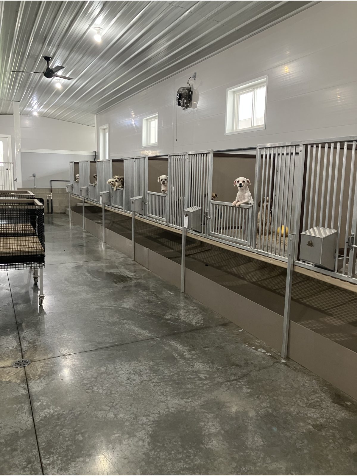 Kennel photograph taken at the Ohio inspection of Ivan R Raber – Cherry Valley Pups on November 19, 2025, page 2 of the inspection report