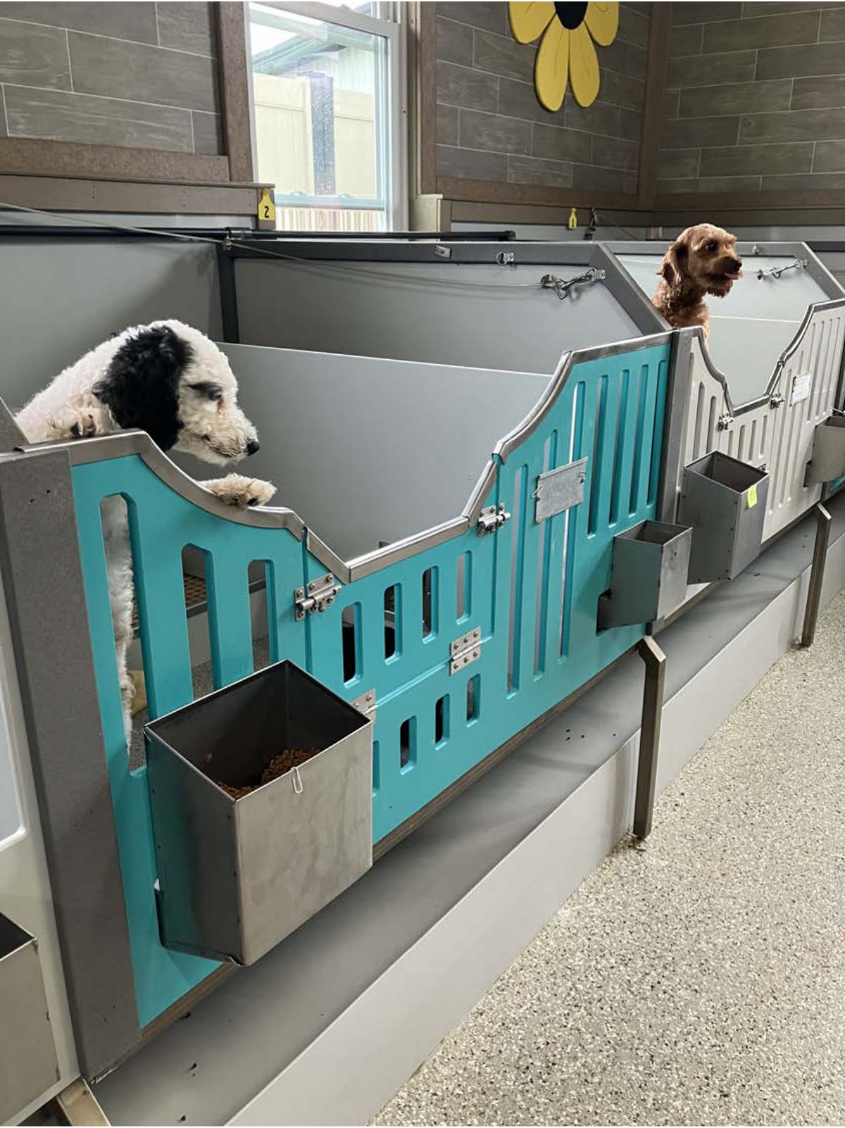 Kennel photograph taken at the Ohio inspection of Dennis L Yoder – Sunshine Ridge Puppies on July 31, 2025, page 2 of the inspection report