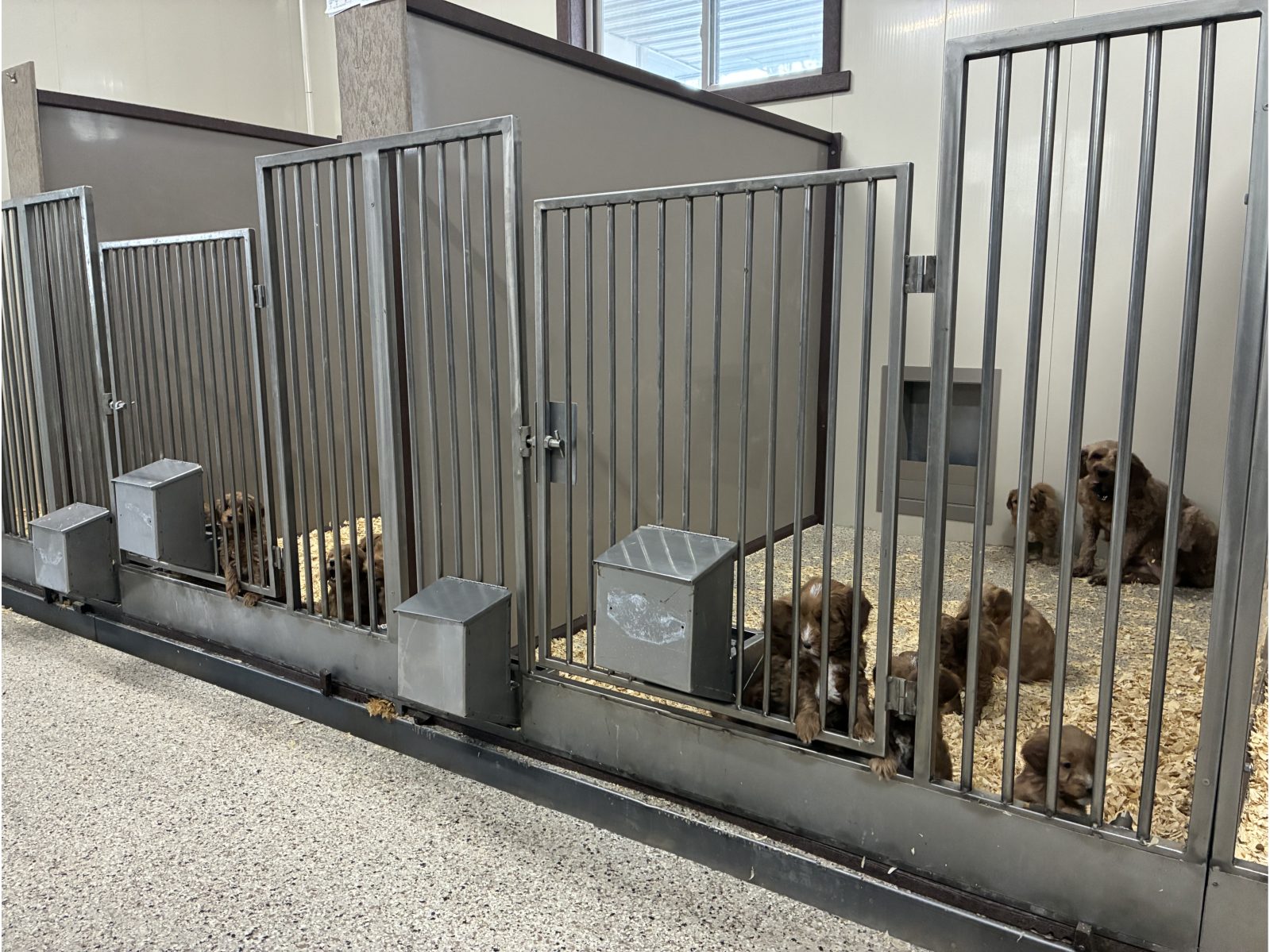Kennel photograph taken at the Ohio inspection of Joseph E Yoder – Millersburg, OH on February 2, 2026, page 2 of the inspection report