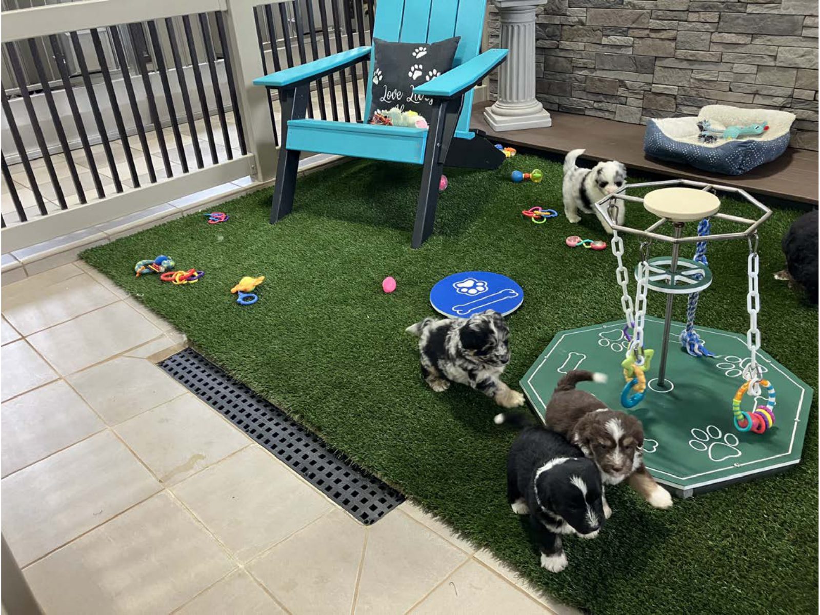 Kennel photograph taken at the Ohio inspection of Henry S Raber – Four Paws on May 27, 2025, page 2 of the inspection report