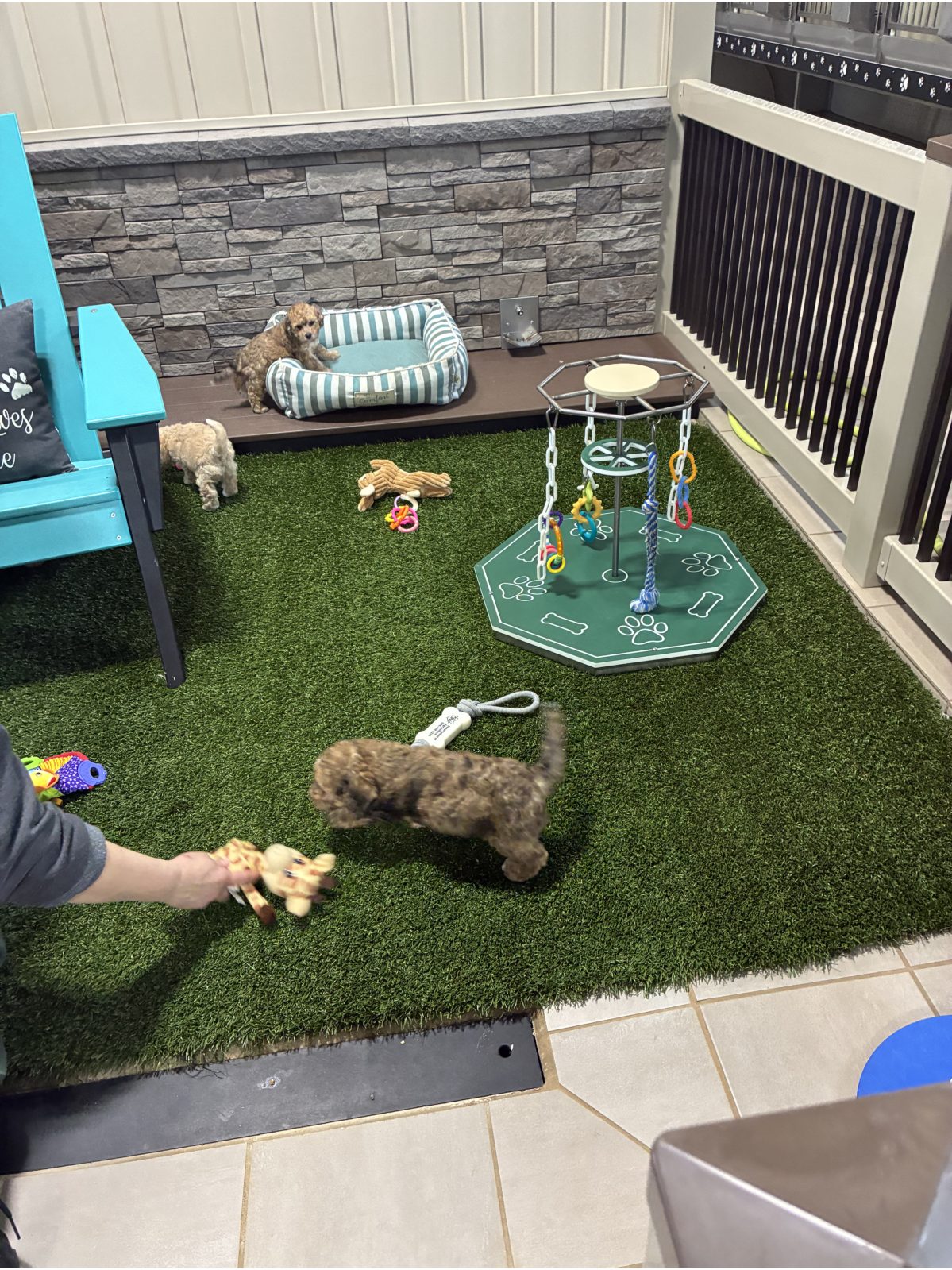 Kennel photograph taken at the Ohio inspection of Henry S Raber – Four Paws on March 6, 2026, page 3 of the inspection report