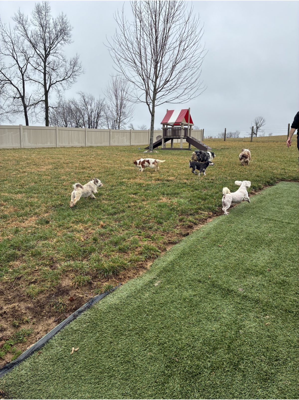 Kennel photograph taken at the Ohio inspection of Henry S Raber – Four Paws on March 6, 2026, page 2 of the inspection report