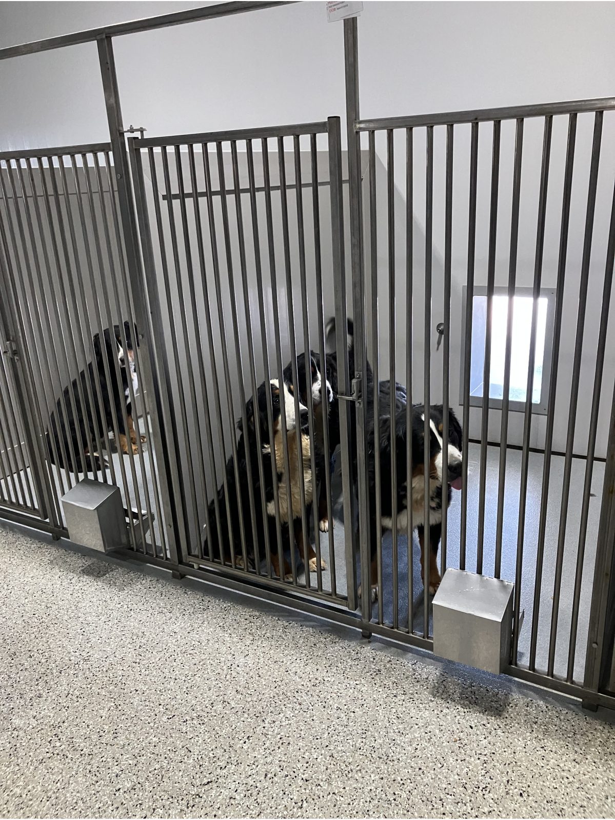 Kennel photograph taken at the Ohio inspection of Nathan R Schrock – Millersburg, OH on October 10, 2025, page 2 of the inspection report