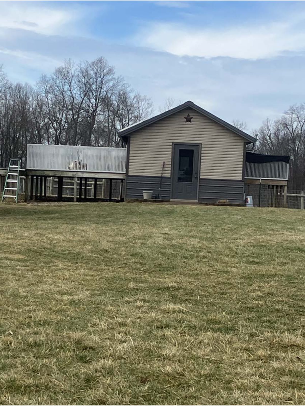 Kennel photograph taken at the Ohio inspection of Joseph Yoder – Pawtential Puppies on February 3, 2025, page 2 of the inspection report