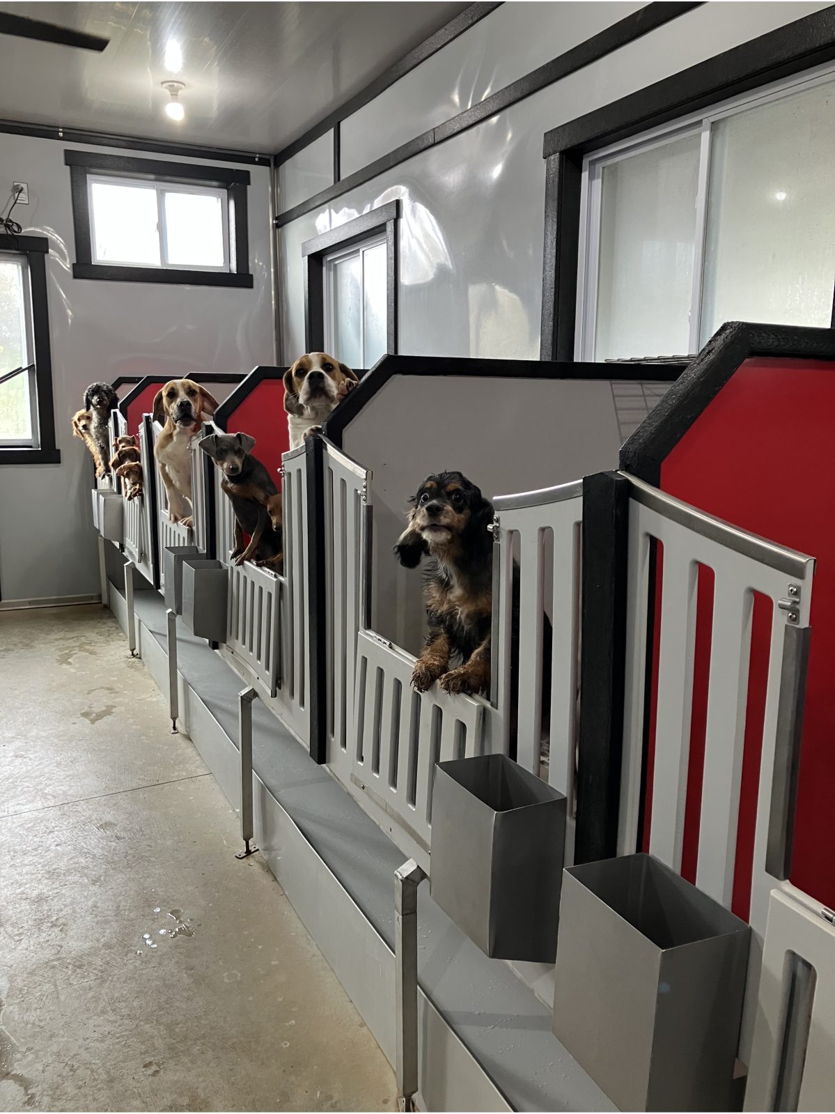 Kennel photograph taken at the Ohio inspection of Reuben D Yoder – Baltic, OH on October 31, 2025, page 2 of the inspection report