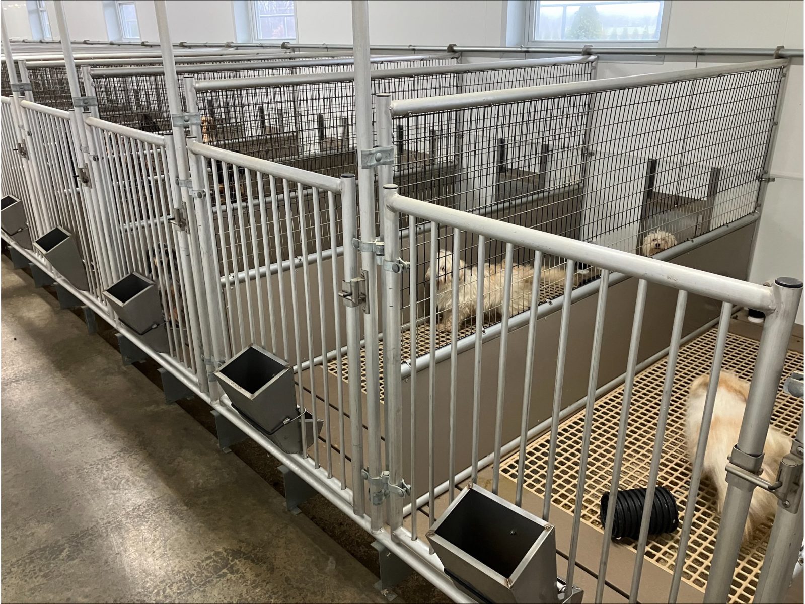 Kennel photograph taken at the Ohio inspection of John R Garman – Plymouth, OH on December 20, 2024, page 3 of the inspection report