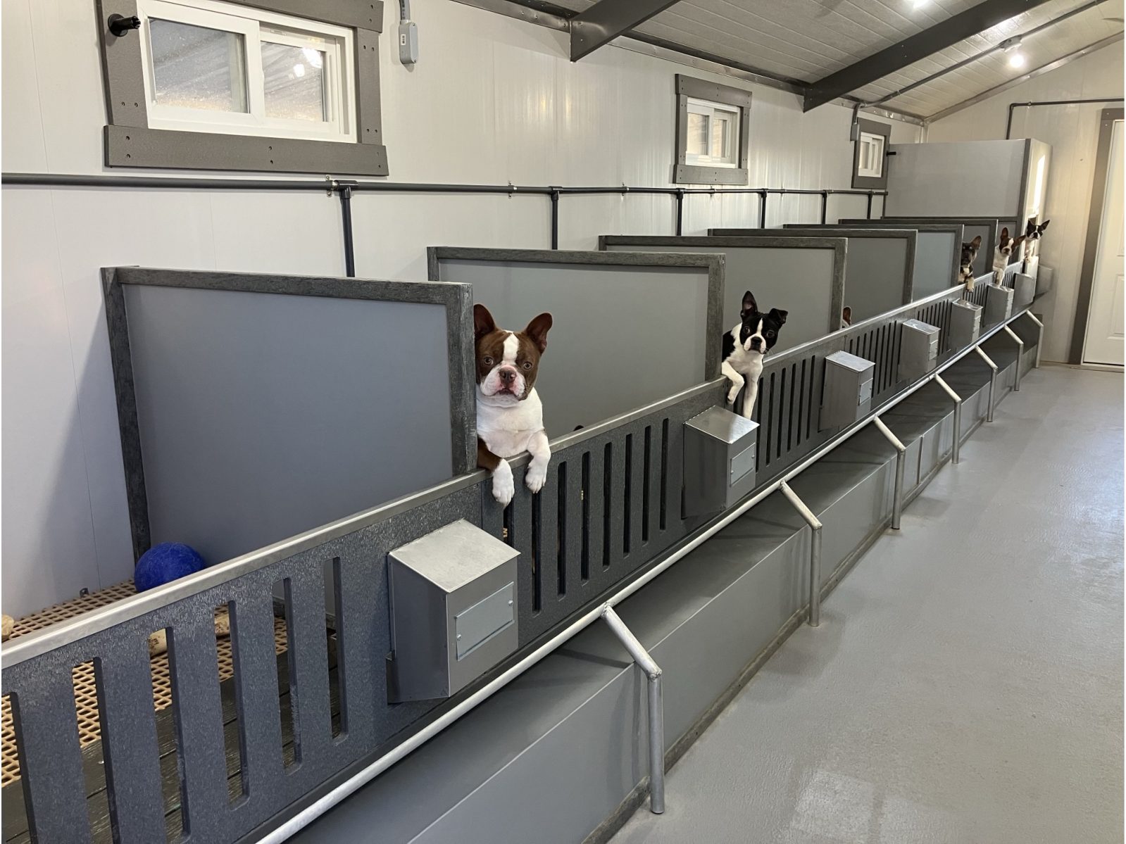 Kennel photograph taken at the Ohio inspection of Marvin L Raber – Sugarcreek, OH on November 17, 2025, page 4 of the inspection report