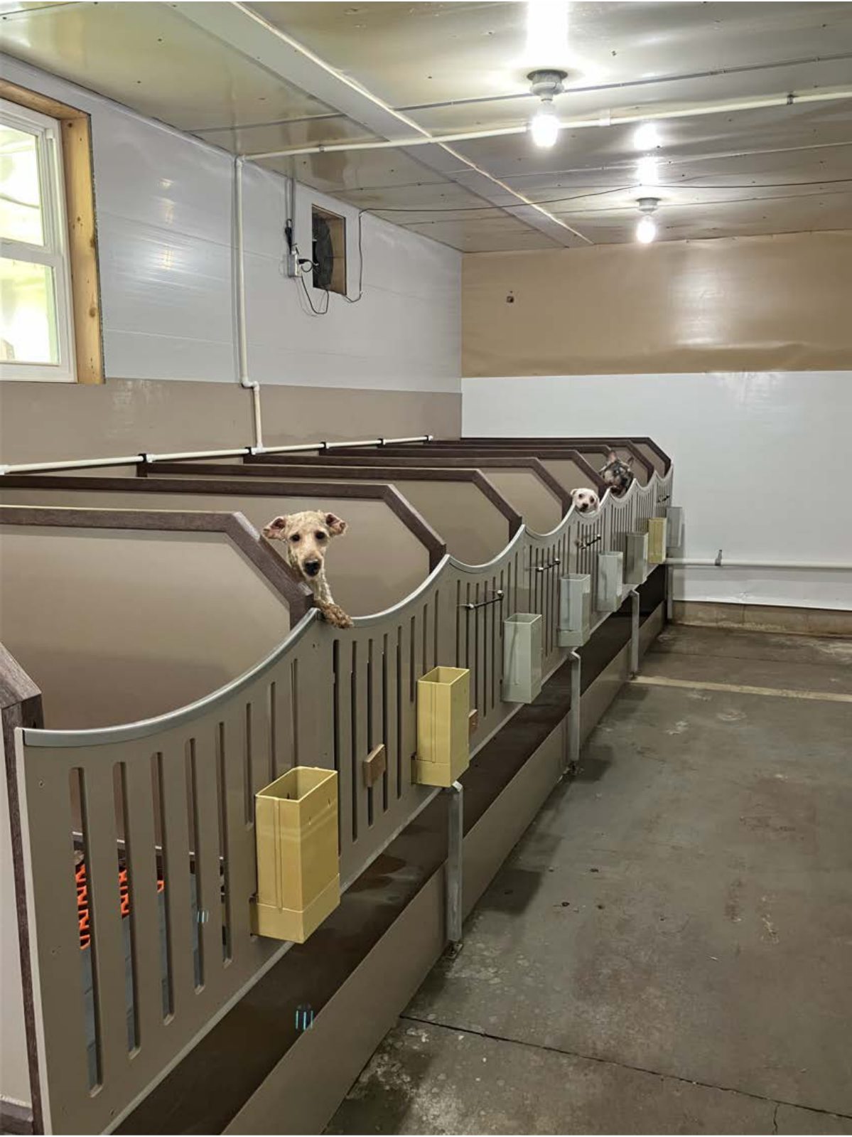 Kennel photograph taken at the Ohio inspection of Wayne E Kuhns – Dalton, OH on June 5, 2025, page 2 of the inspection report