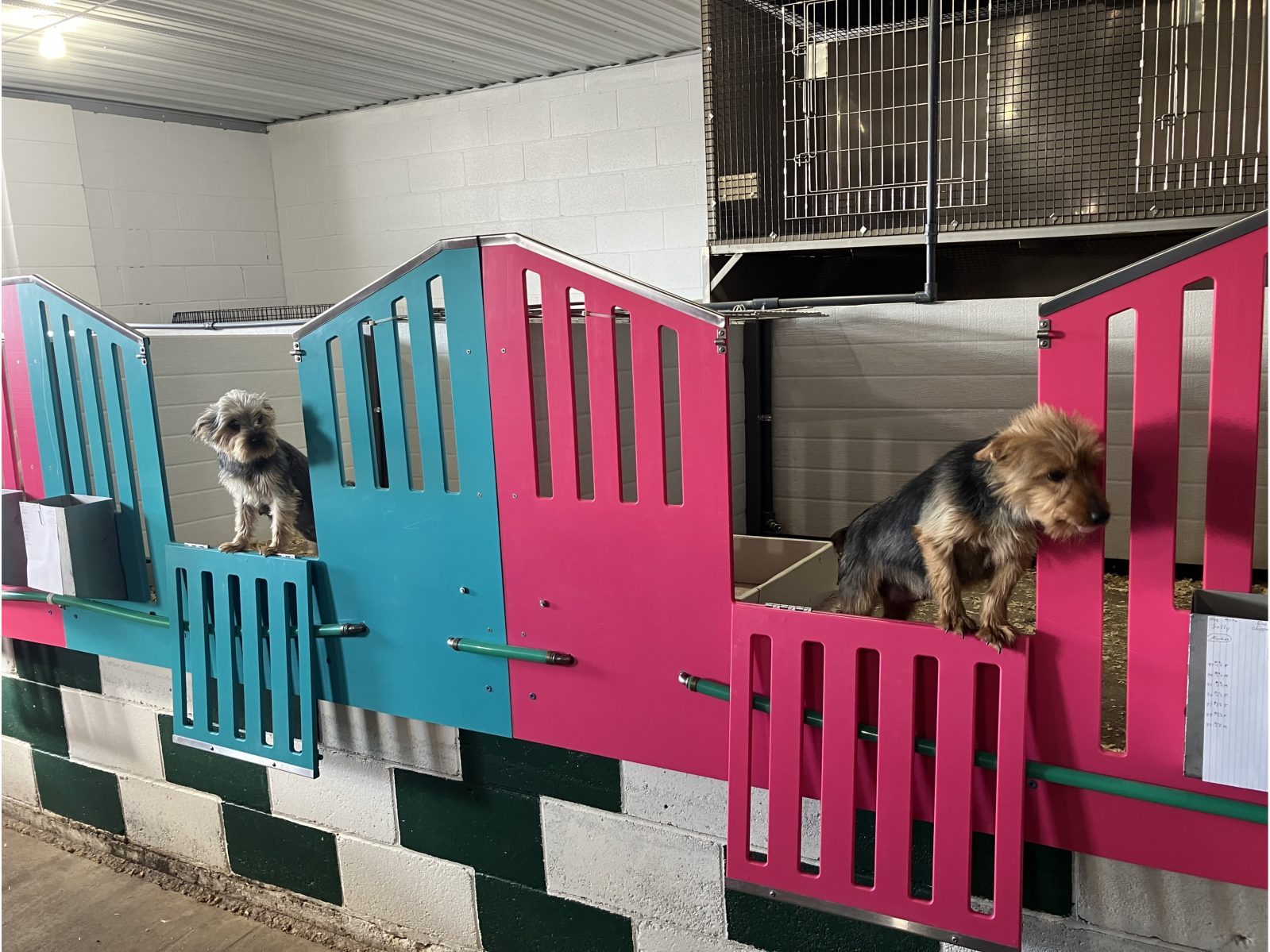 Kennel photograph taken at the Ohio inspection of Reuben H Troyer – Baltic, OH on December 4, 2025, page 2 of the inspection report