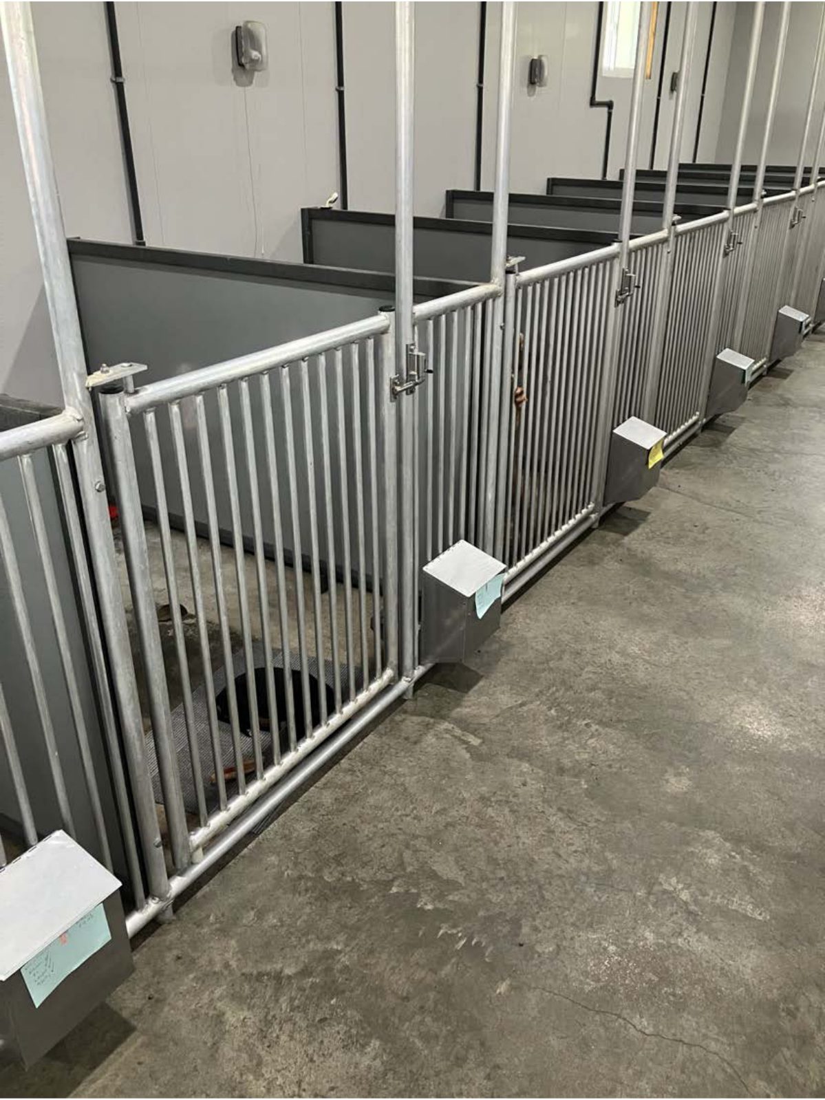 Kennel photograph taken at the Ohio inspection of Willis R Miller – Five Star Family Puppies on April 25, 2025, page 3 of the inspection report