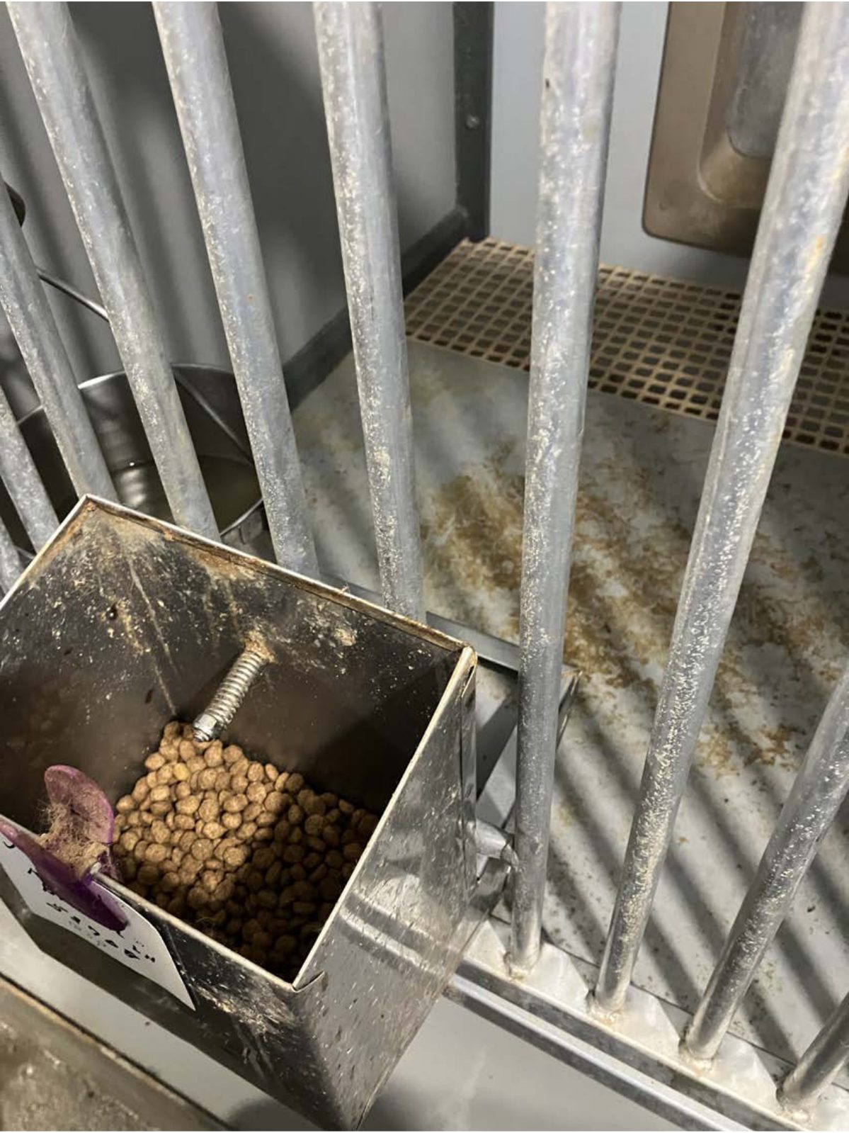 Kennel photograph taken at the Ohio inspection of Alvin H Hershberger – Walnut Lane LAH on February 13, 2025, page 9 of the inspection report