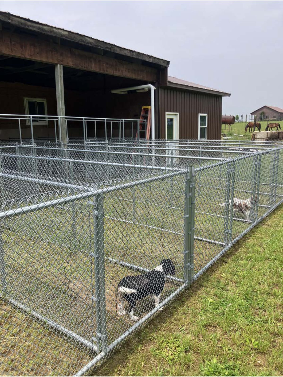 Kennel photograph taken at the Ohio inspection of Wayne E Kuhns – Dalton, OH on June 5, 2025, page 3 of the inspection report