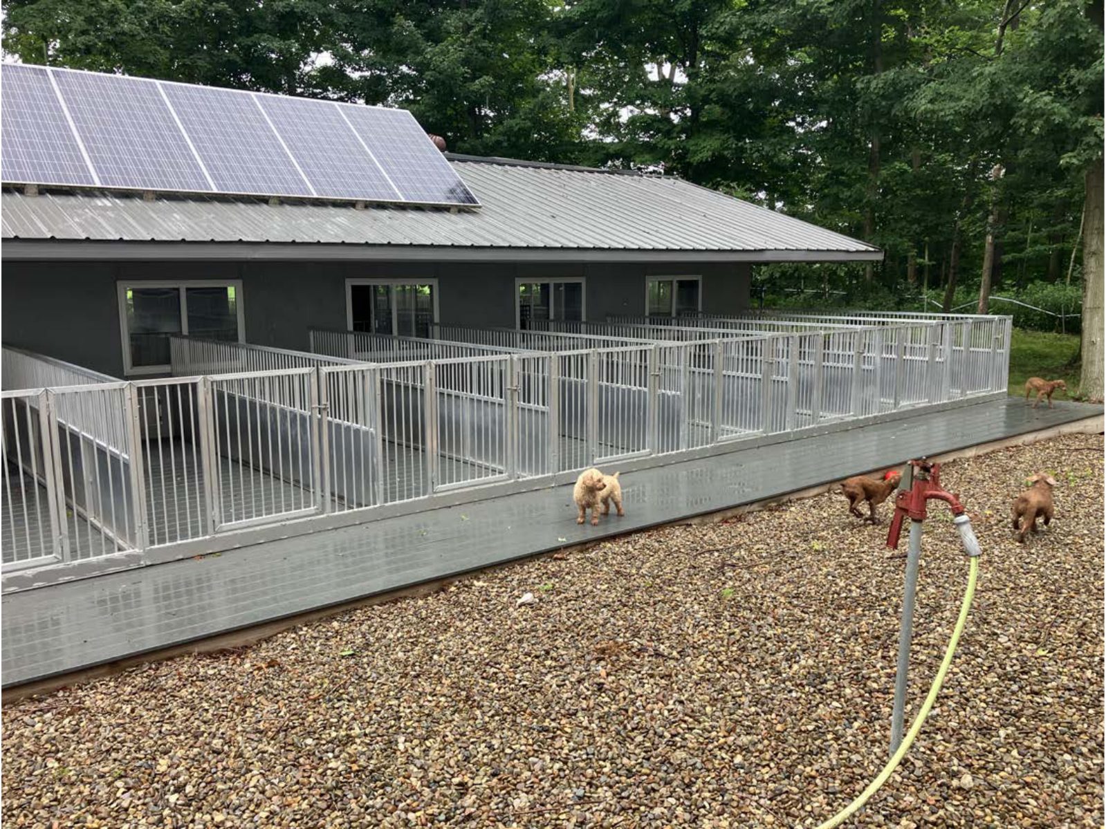 Kennel photograph taken at the Ohio inspection of Betty E Yoder – Horizon Puppies on July 1, 2025, page 2 of the inspection report