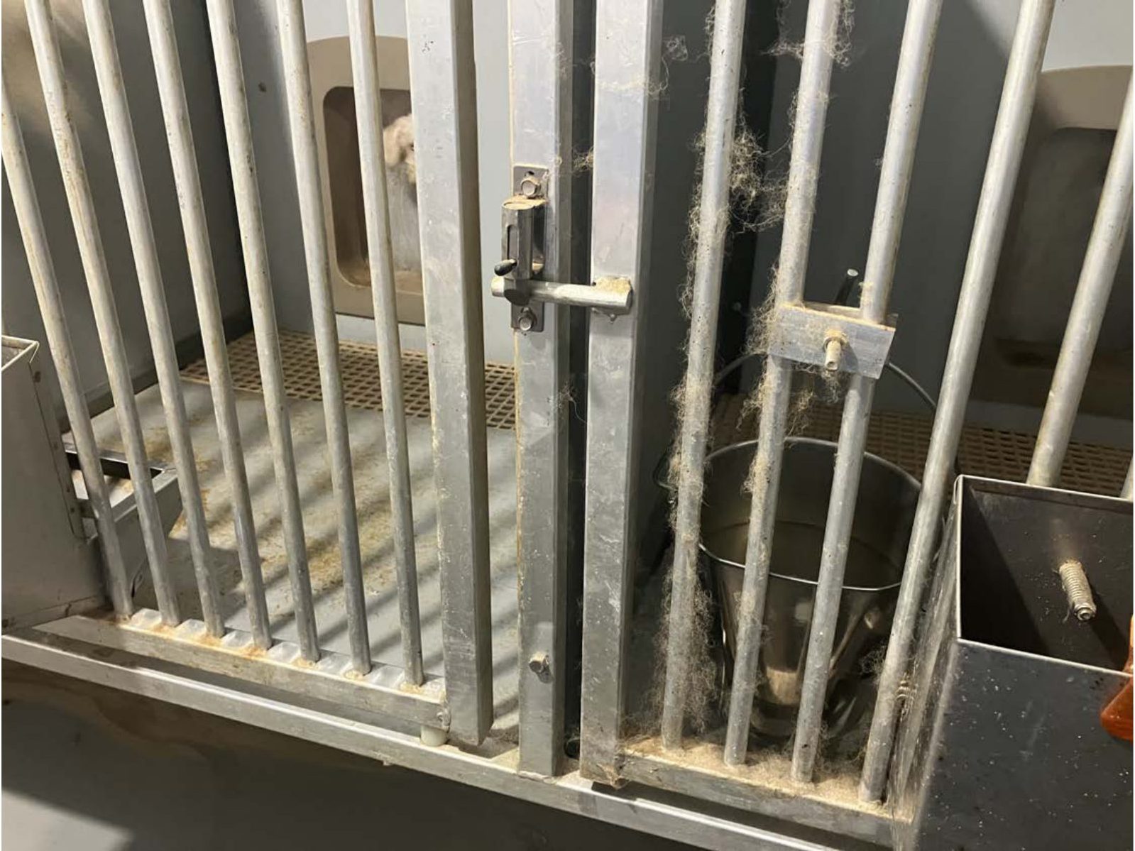 Kennel photograph taken at the Ohio inspection of Alvin H Hershberger – Walnut Lane LAH on February 13, 2025, page 6 of the inspection report