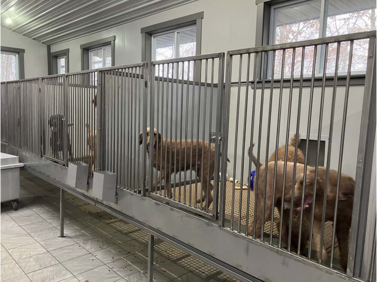 Kennel photograph taken at the Ohio inspection of Leroy W Schlabach – Millersburg, OH on February 6, 2025, page 2 of the inspection report