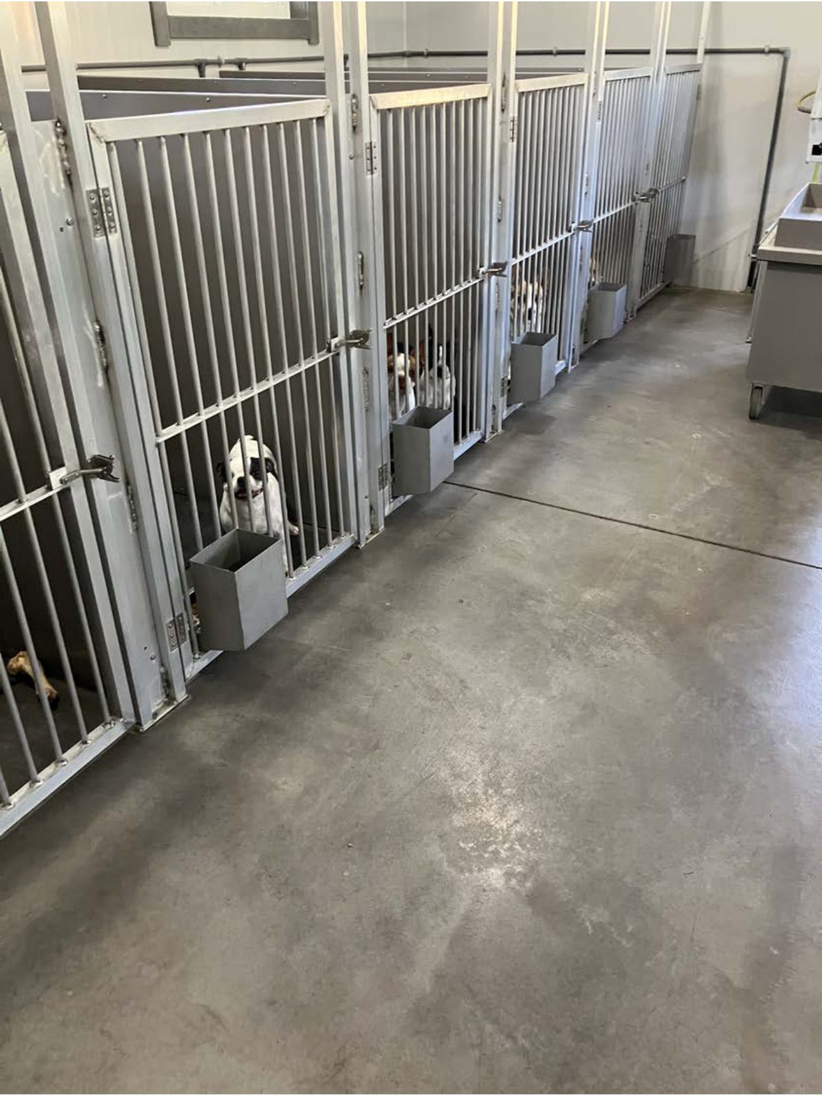 Kennel photograph taken at the Ohio inspection of Steven Beachy – Dundee, OH on April 23, 2025, page 4 of the inspection report