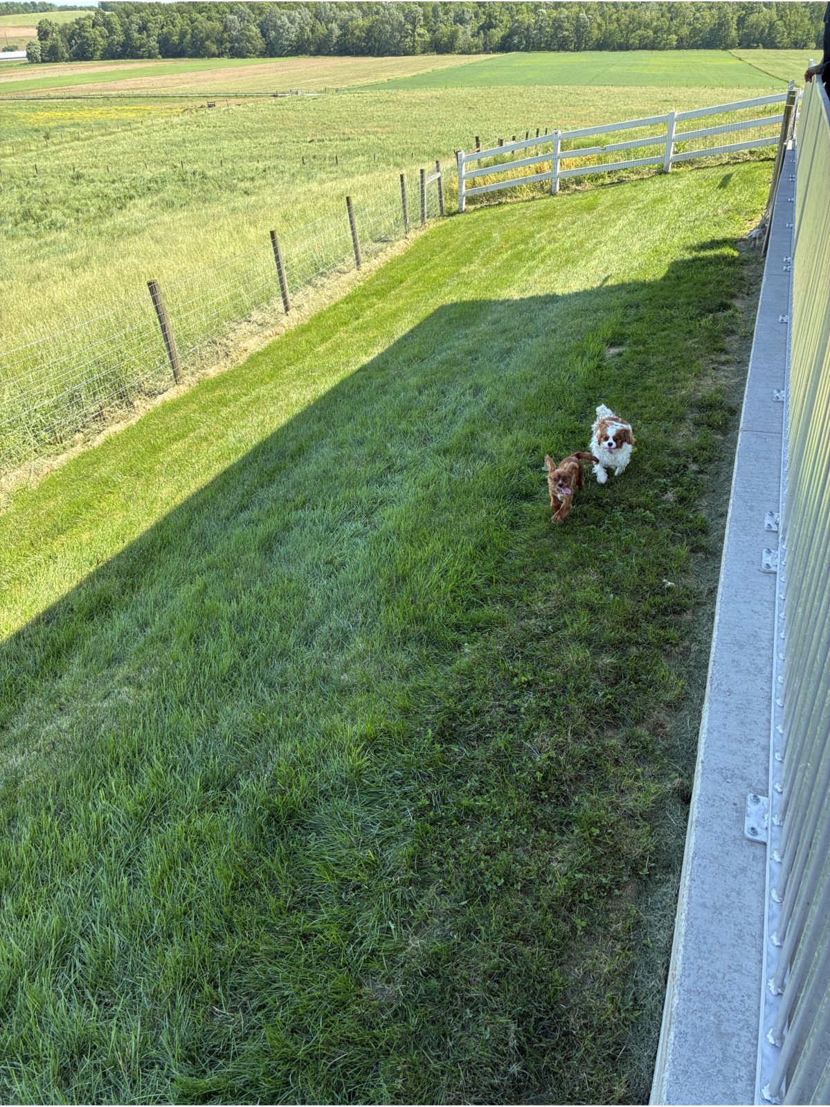 Kennel photograph taken at the Ohio inspection of John J Miller – Sugarcreek, OH on May 28, 2026, page 2 of the inspection report