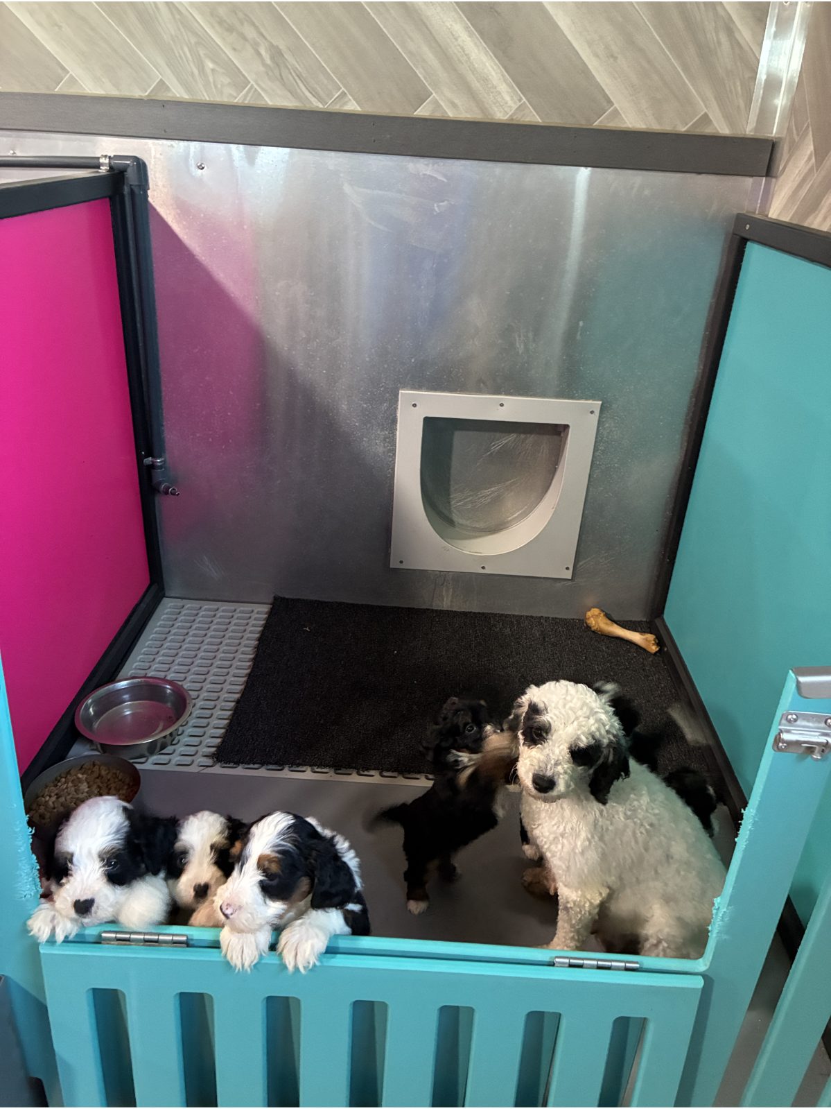 Kennel photograph taken at the Ohio inspection of John J Miller – Sugarcreek, OH on May 28, 2026, page 3 of the inspection report