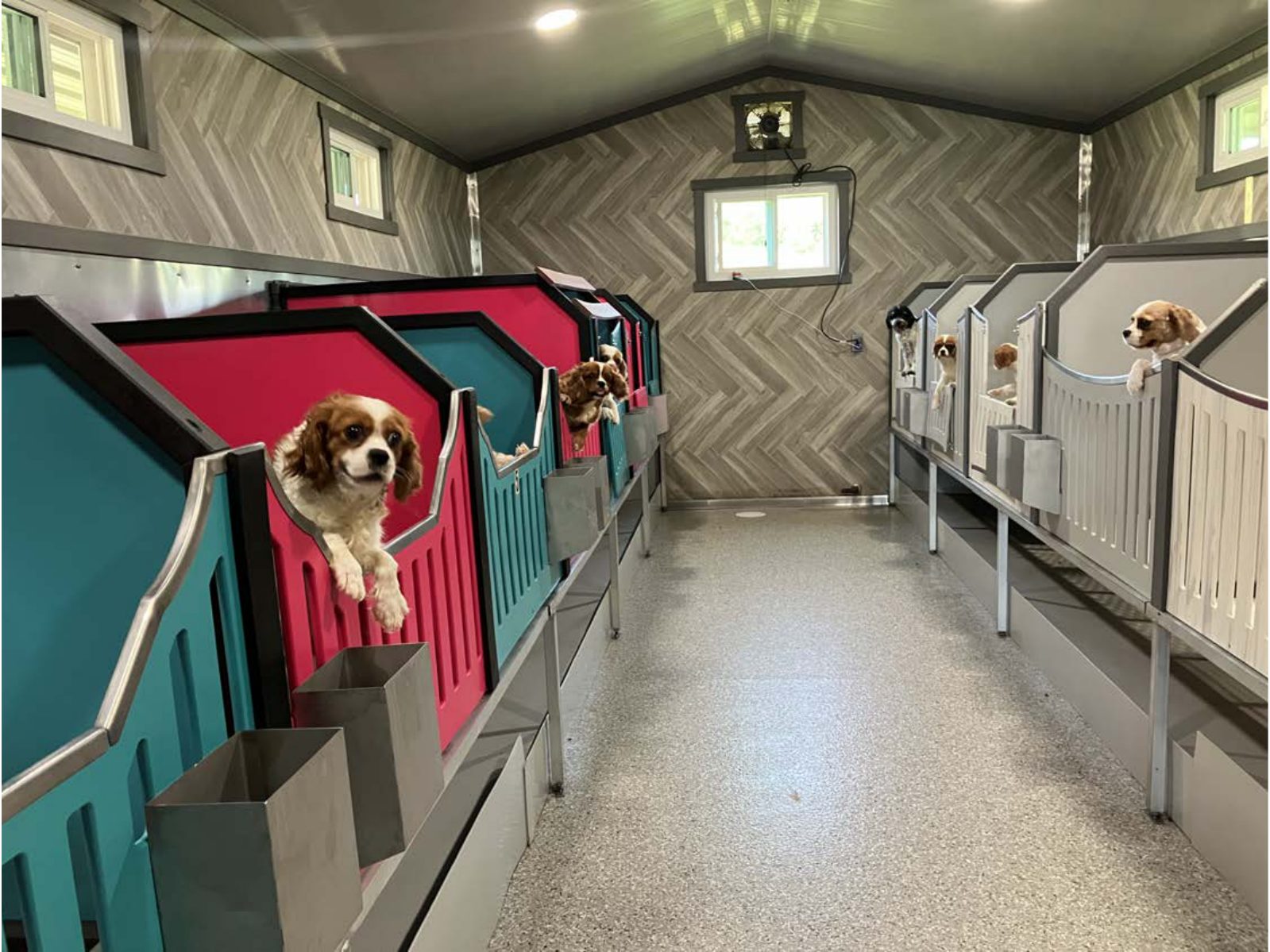 Kennel photograph taken at the Ohio inspection of John J Miller – Sugarcreek, OH on June 24, 2025, page 3 of the inspection report
