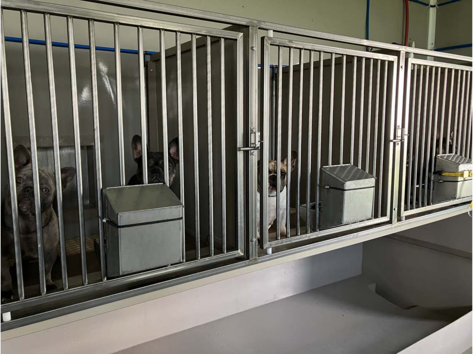 Kennel photograph taken at the Ohio inspection of Levi E Miller – Owl Creek Kennel on June 27, 2025, page 3 of the inspection report