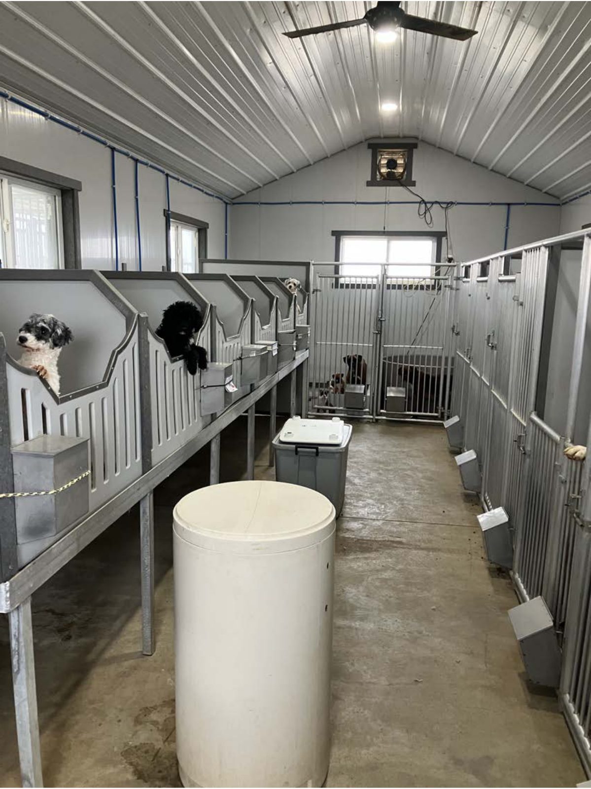 Kennel photograph taken at the Ohio inspection of Michael Raber – Fredericksburg, OH on February 11, 2025, page 2 of the inspection report