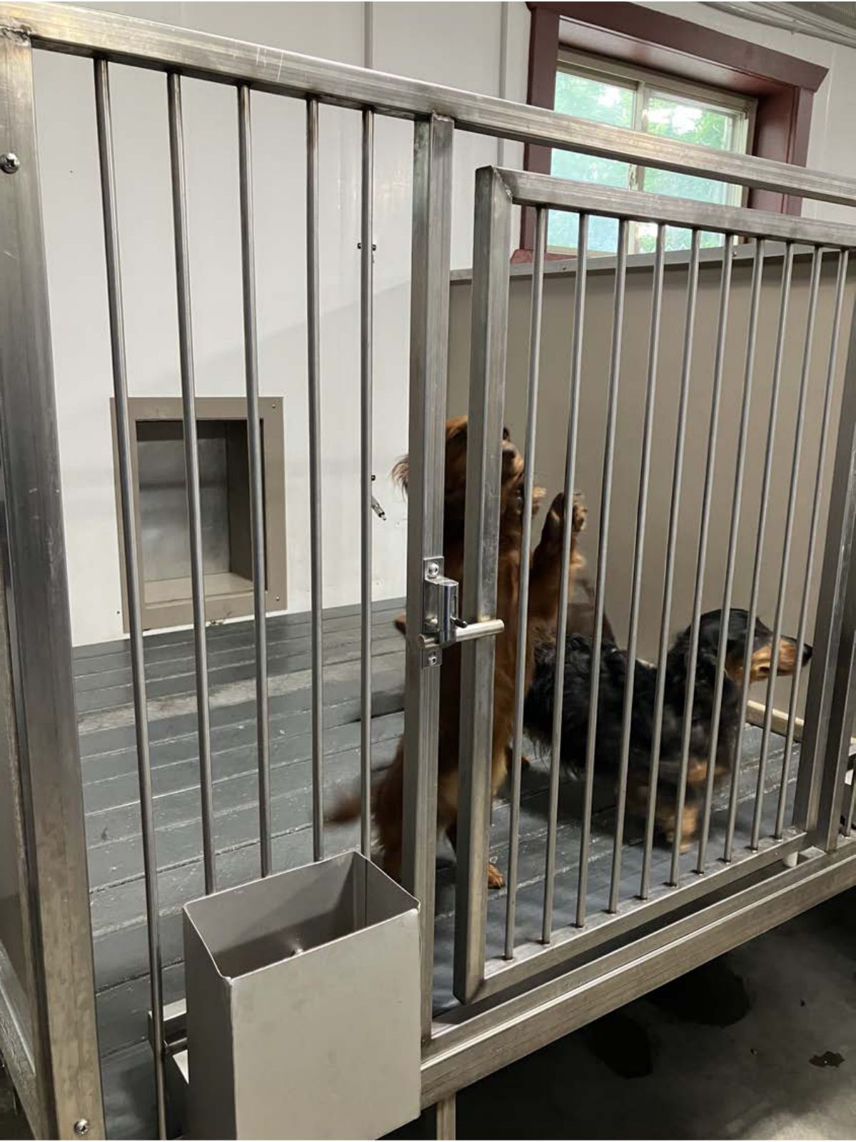 Kennel photograph taken at the Ohio inspection of Lavon Schlabach – Fresno, OH on July 14, 2025, page 2 of the inspection report
